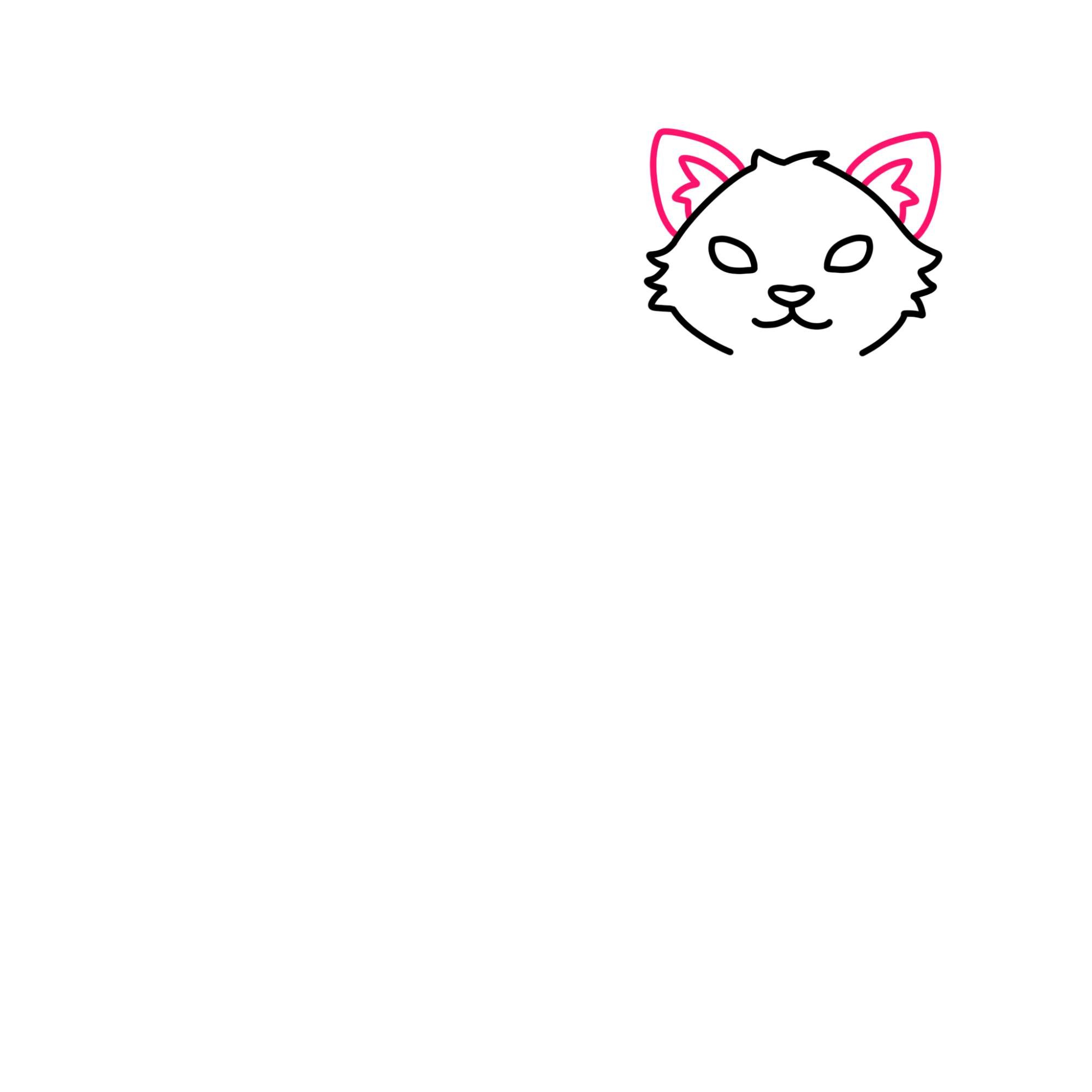 Tabby Cat Drawing - Step-5