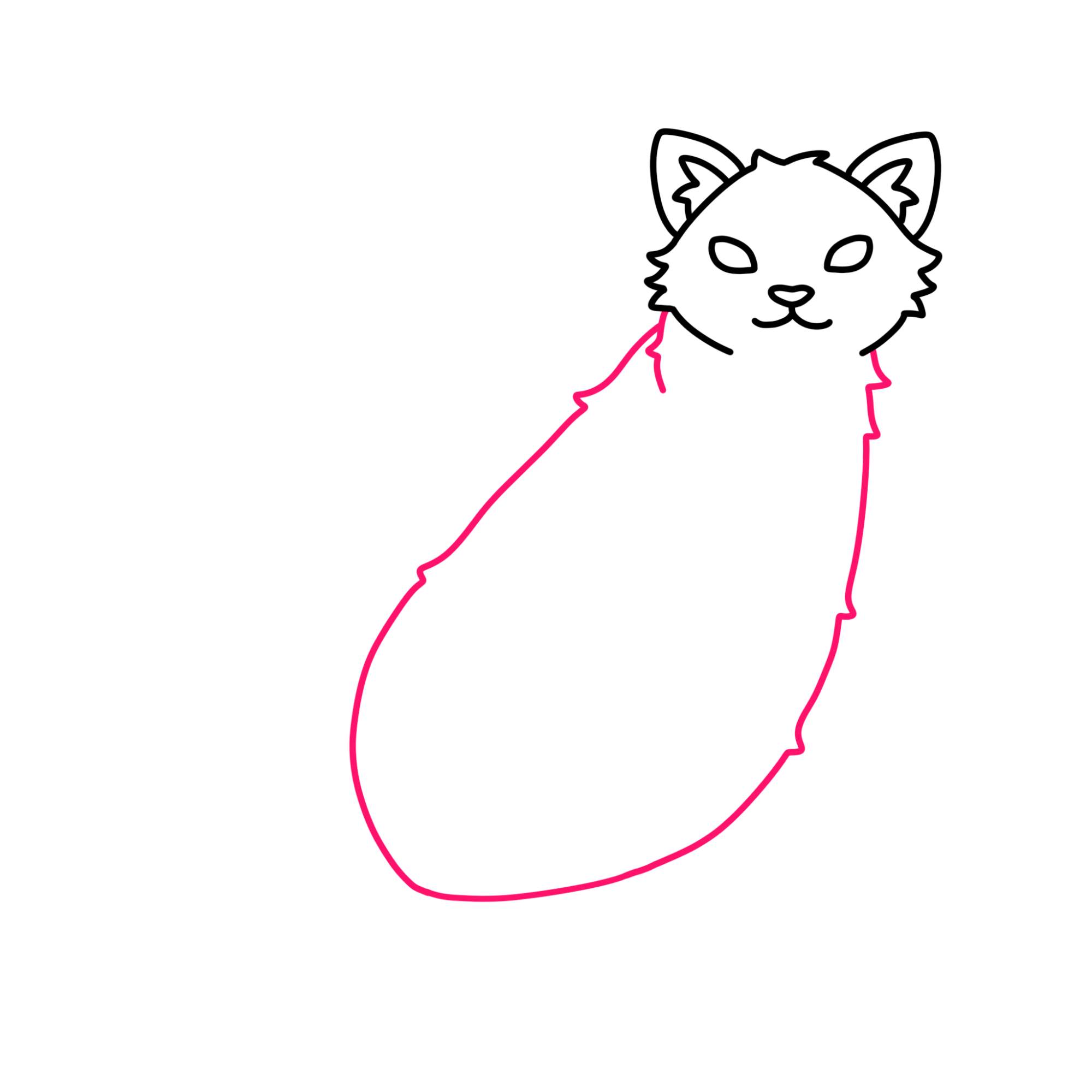 Tabby Cat Drawing - Step-6