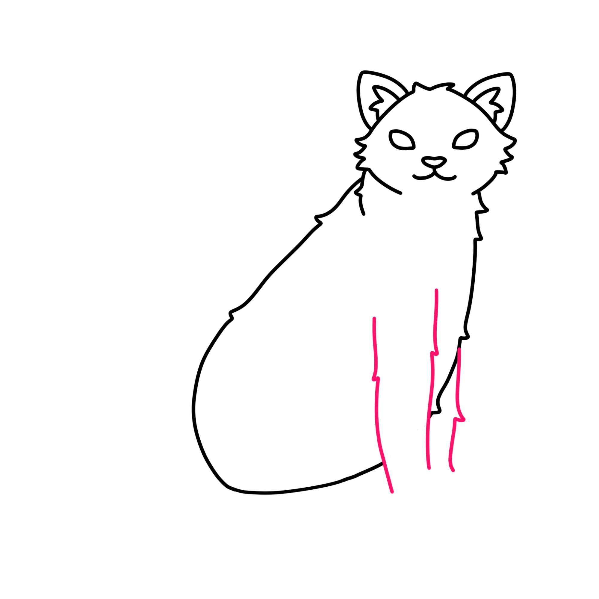 Tabby Cat Drawing - Step-7