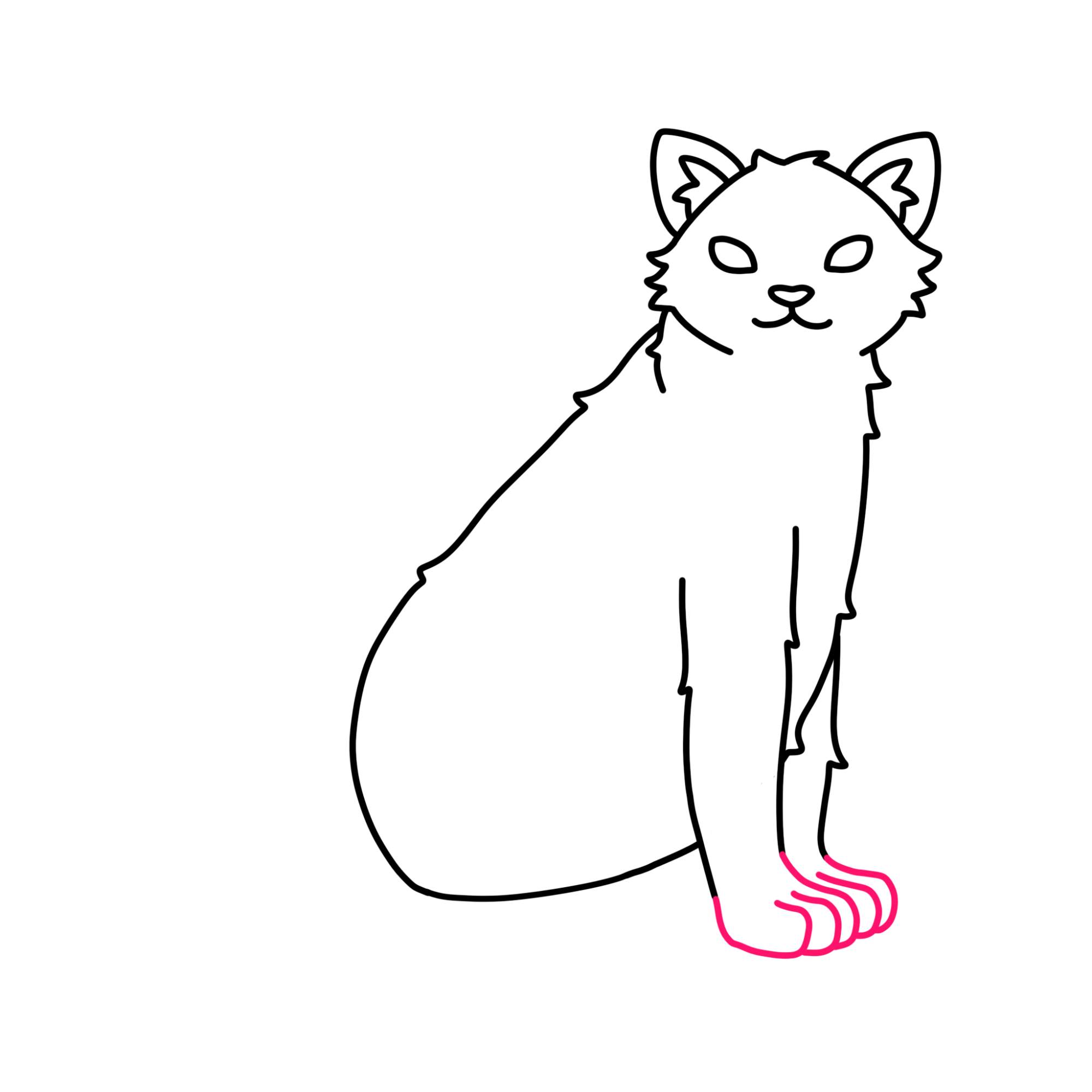 Tabby Cat Drawing - Step-8