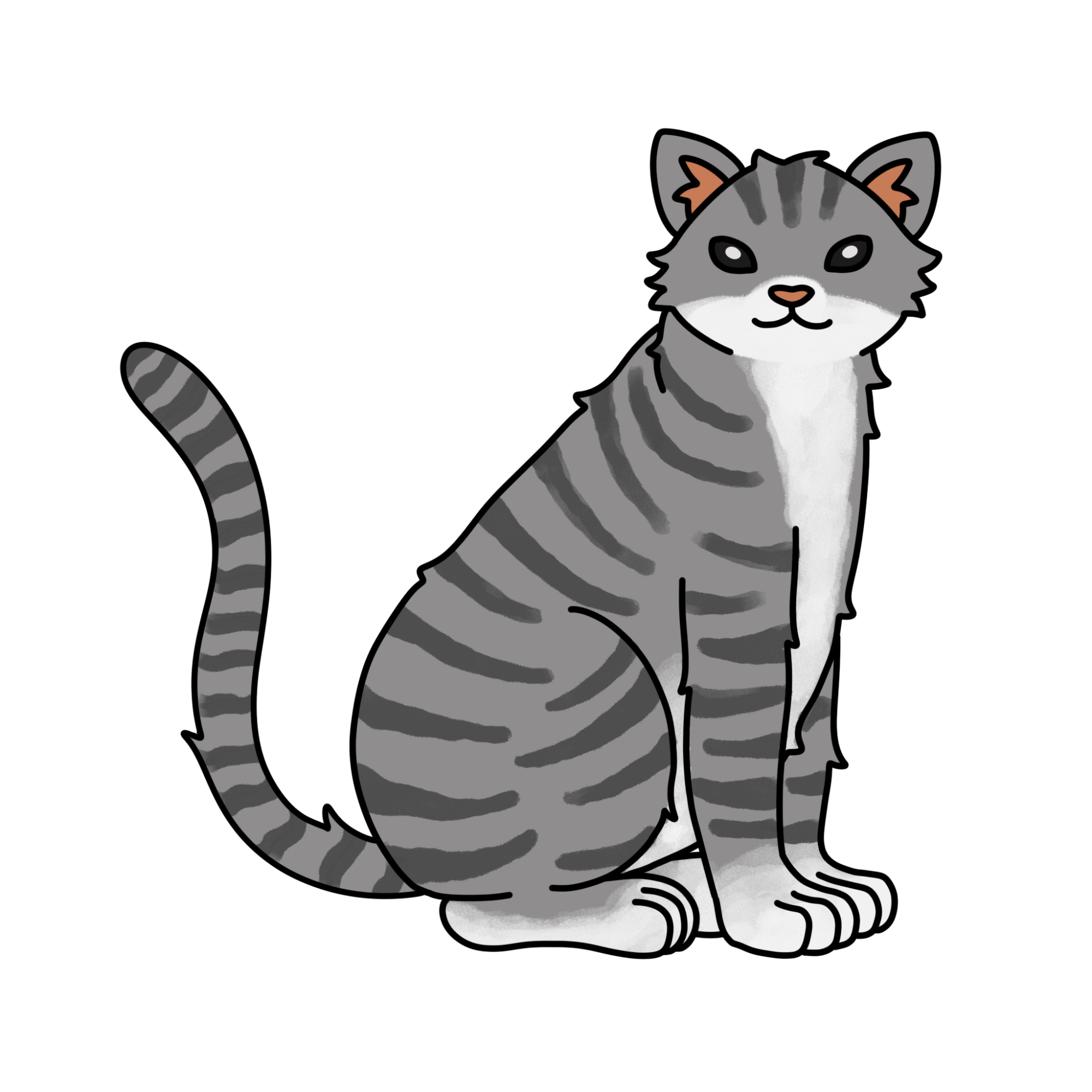 Tabby Cat Drawing