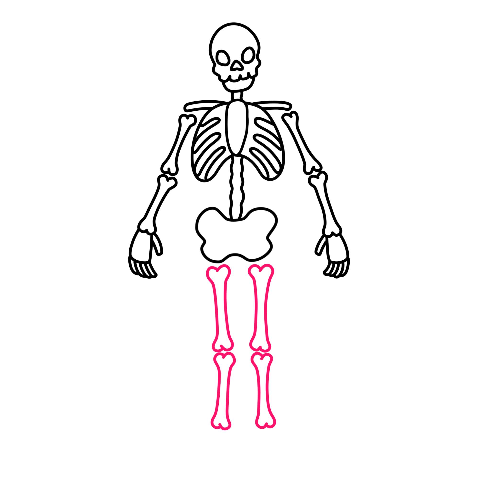 Easy Skeleton Drawing - Step-13