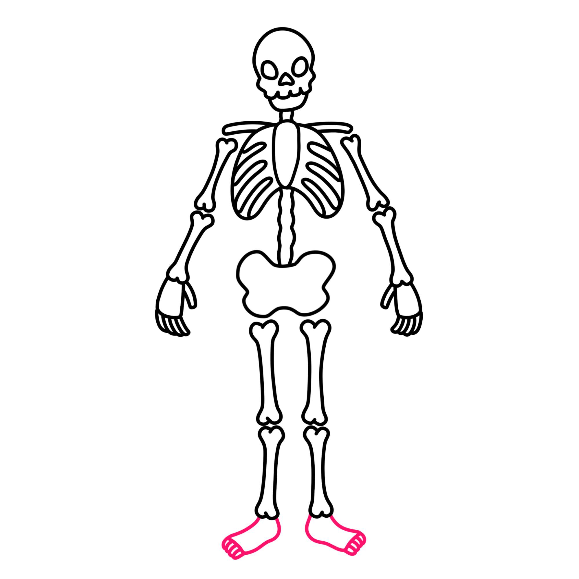 Easy Skeleton Drawing - Step-14