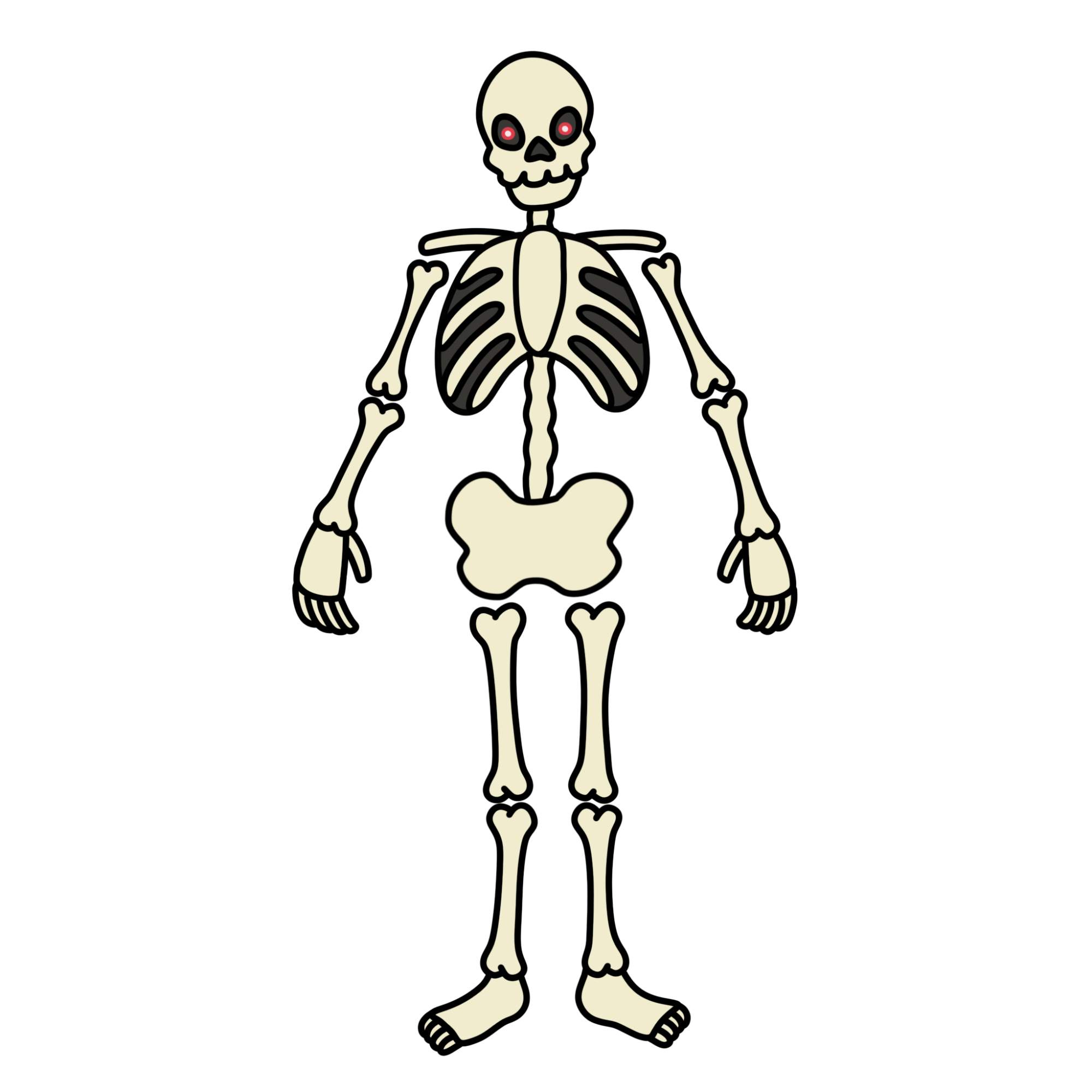 Easy Skeleton Drawing - Step-17