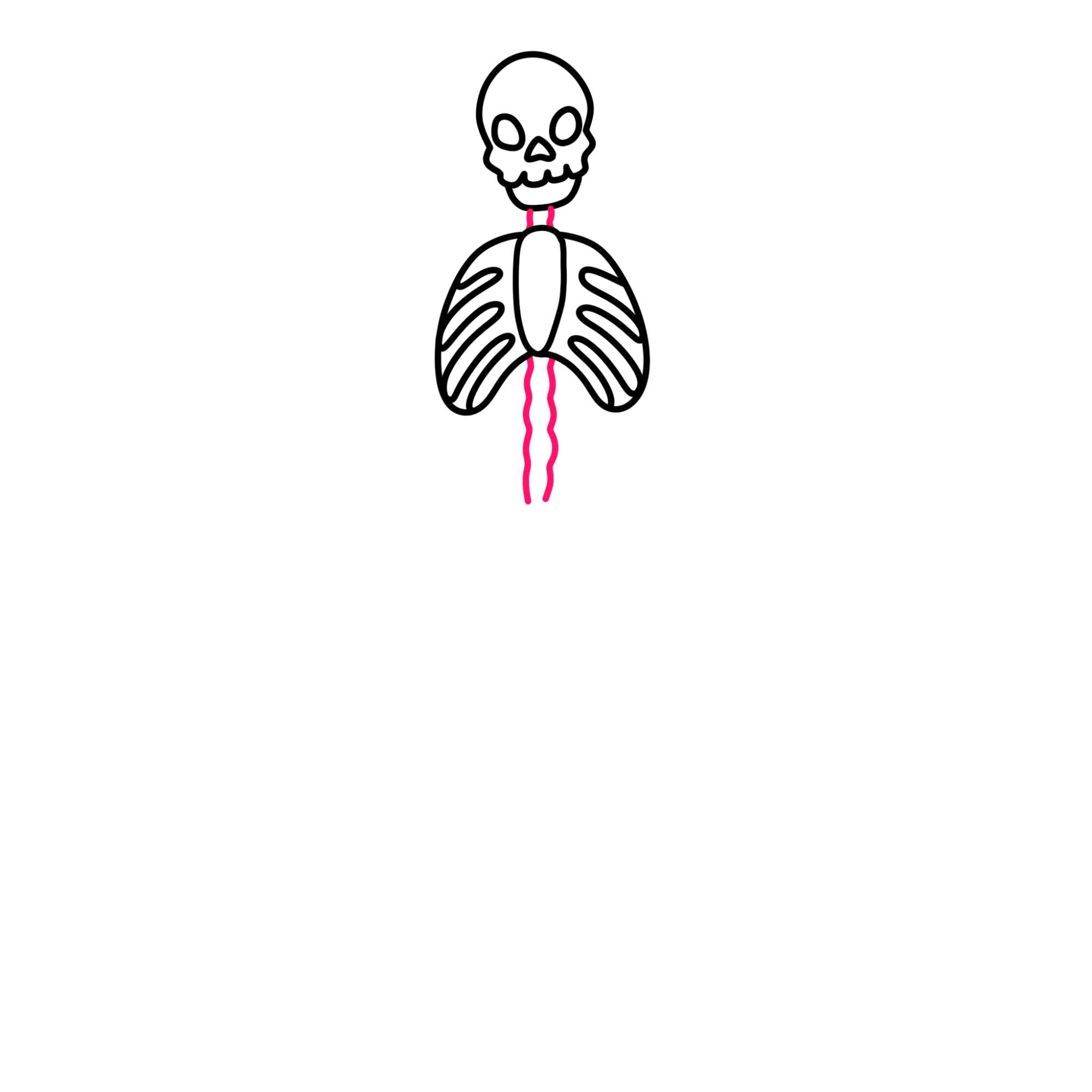 Easy Skeleton Drawing - Step-7