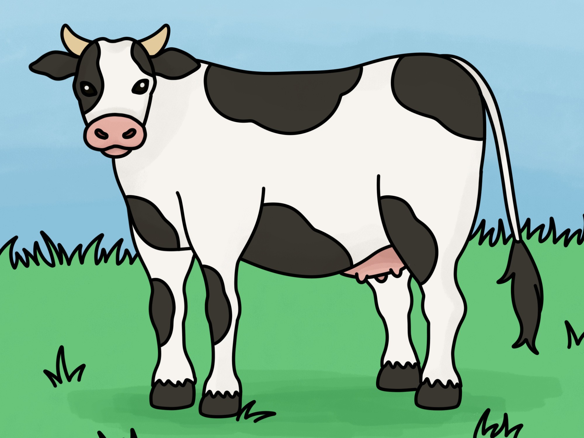 How to Draw Domestic Animals