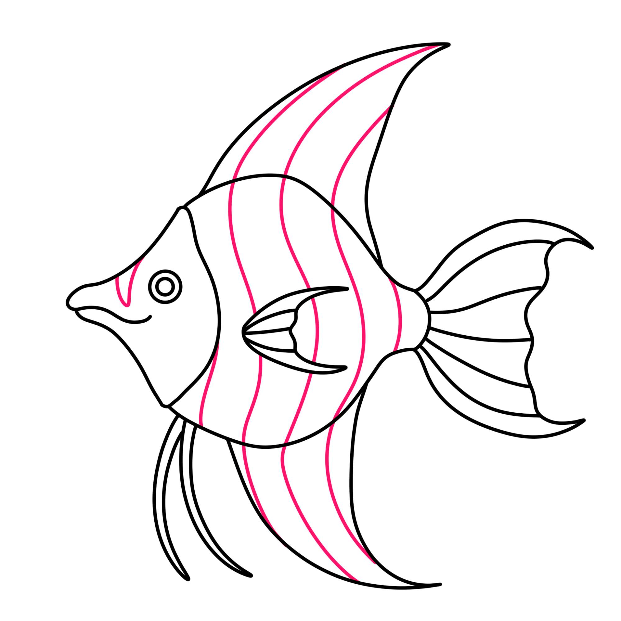 Angelfish Drawing (easy) - Step-10