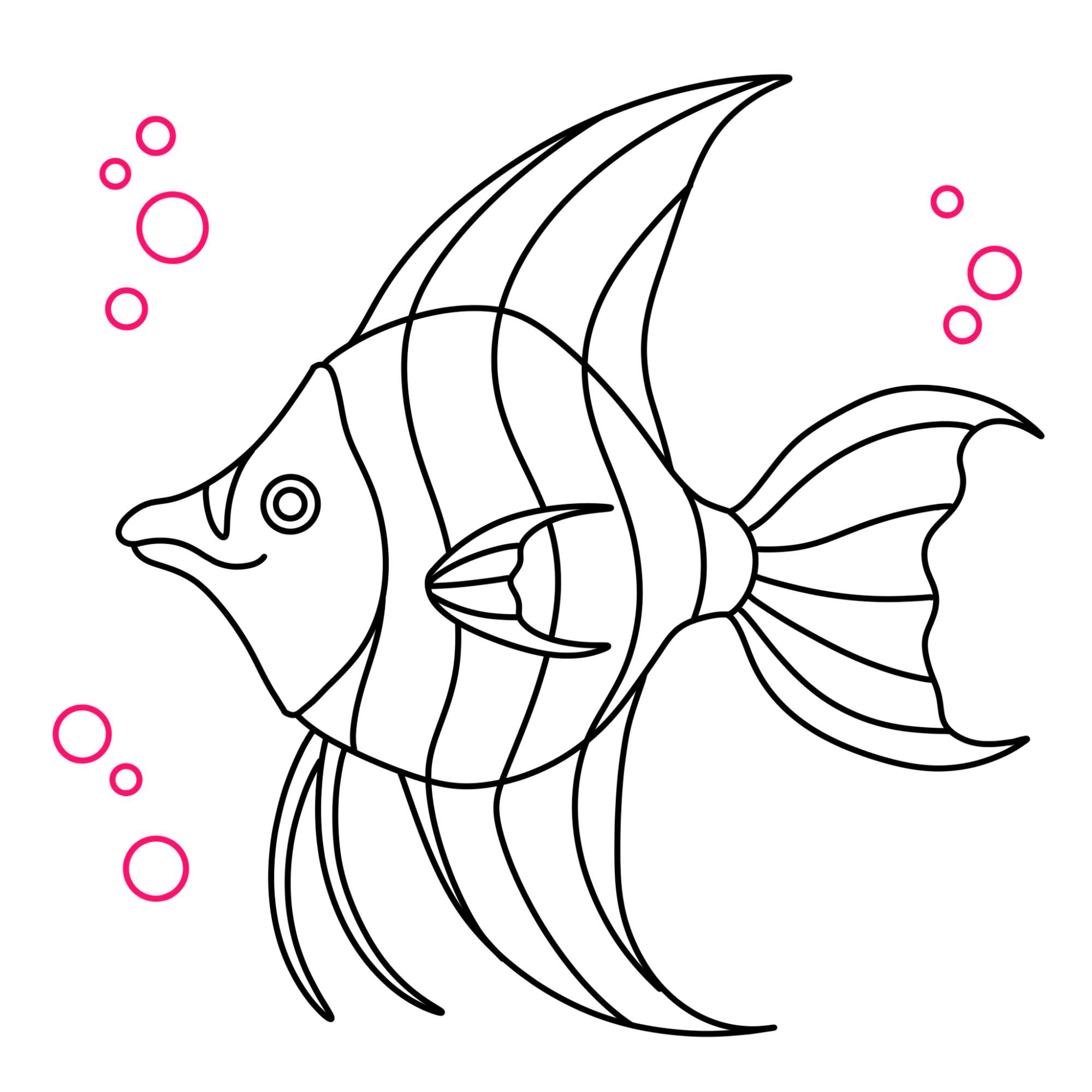 Angelfish Drawing (easy) - Step-11