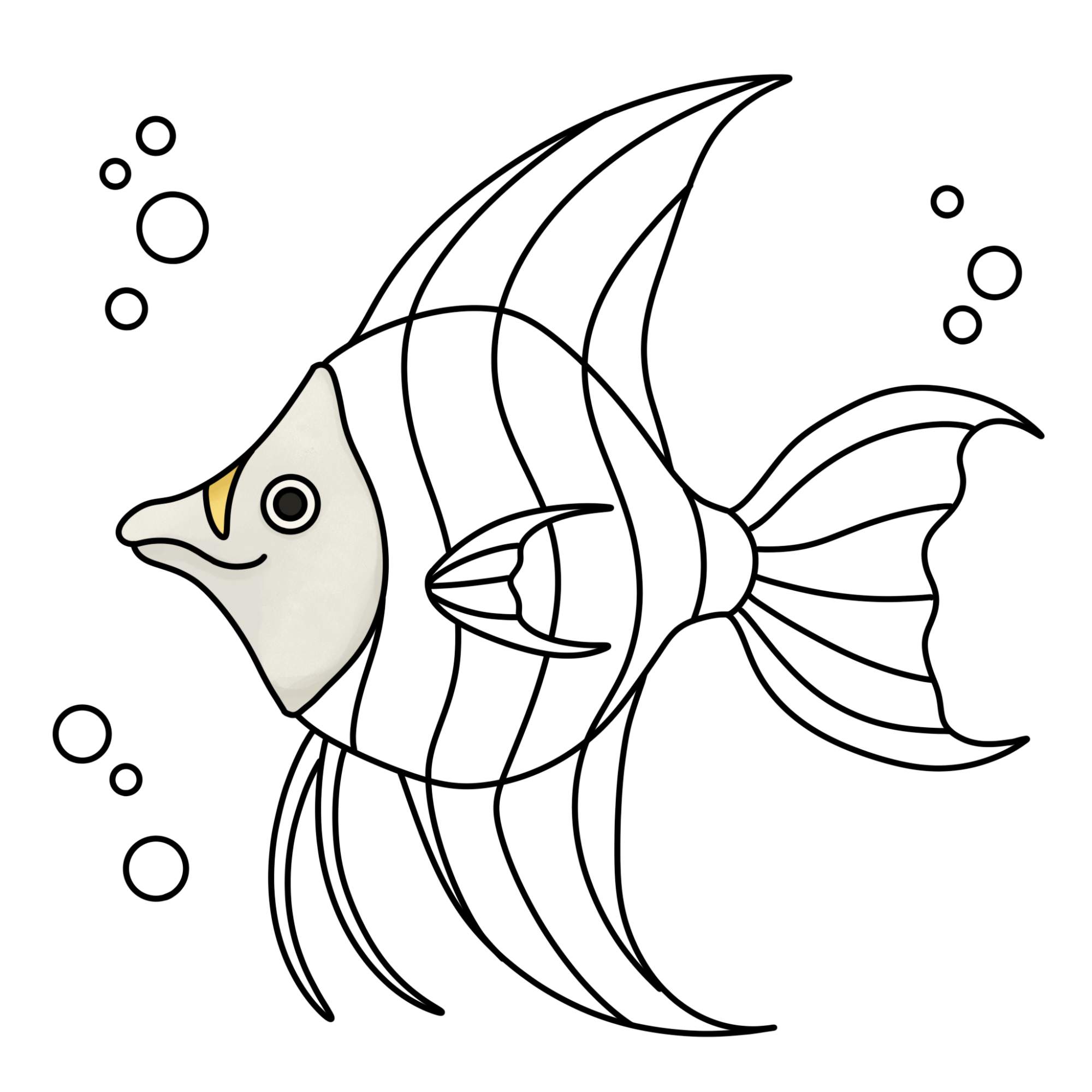 Angelfish Drawing (easy) - Step-12