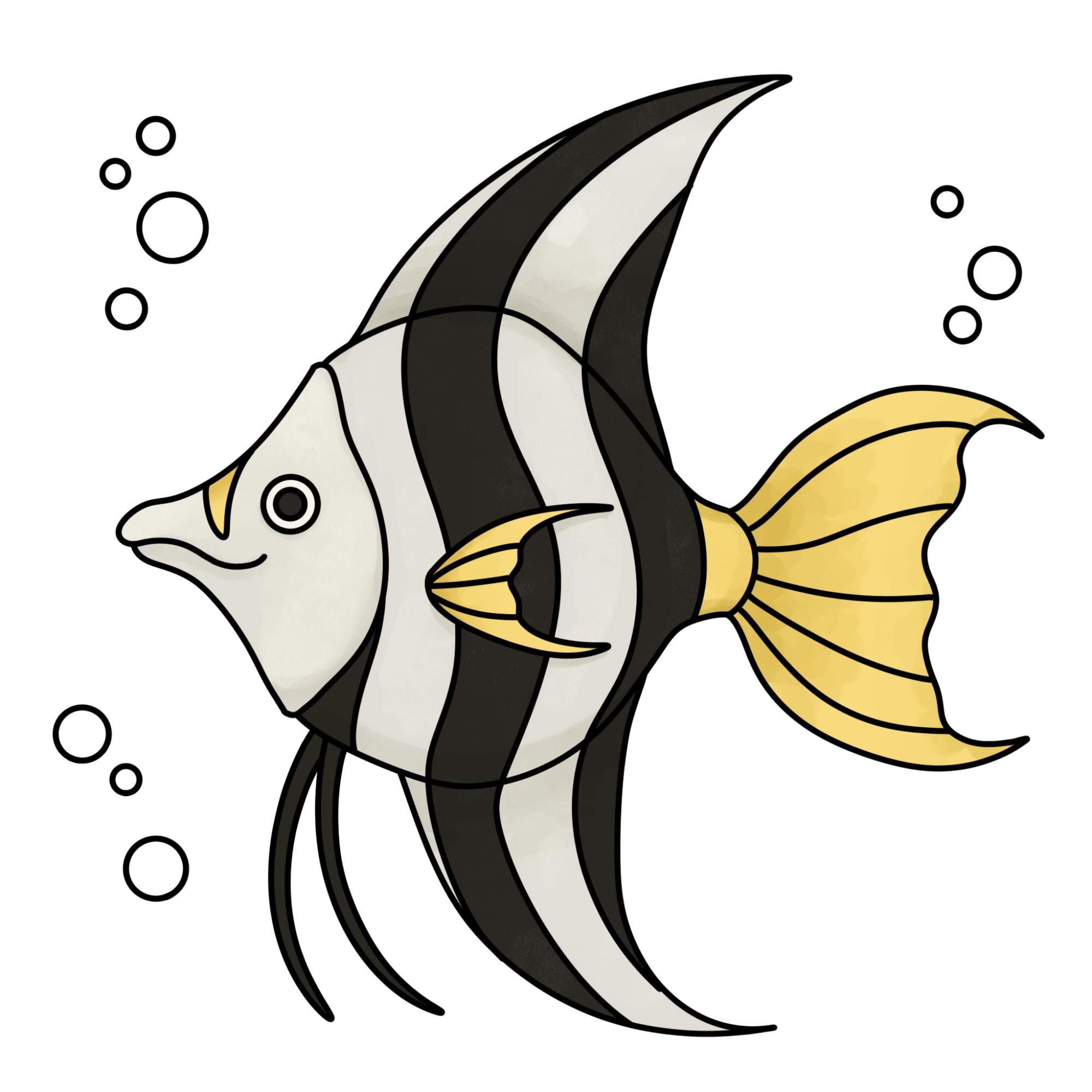 Angelfish Drawing (easy) - Step-13