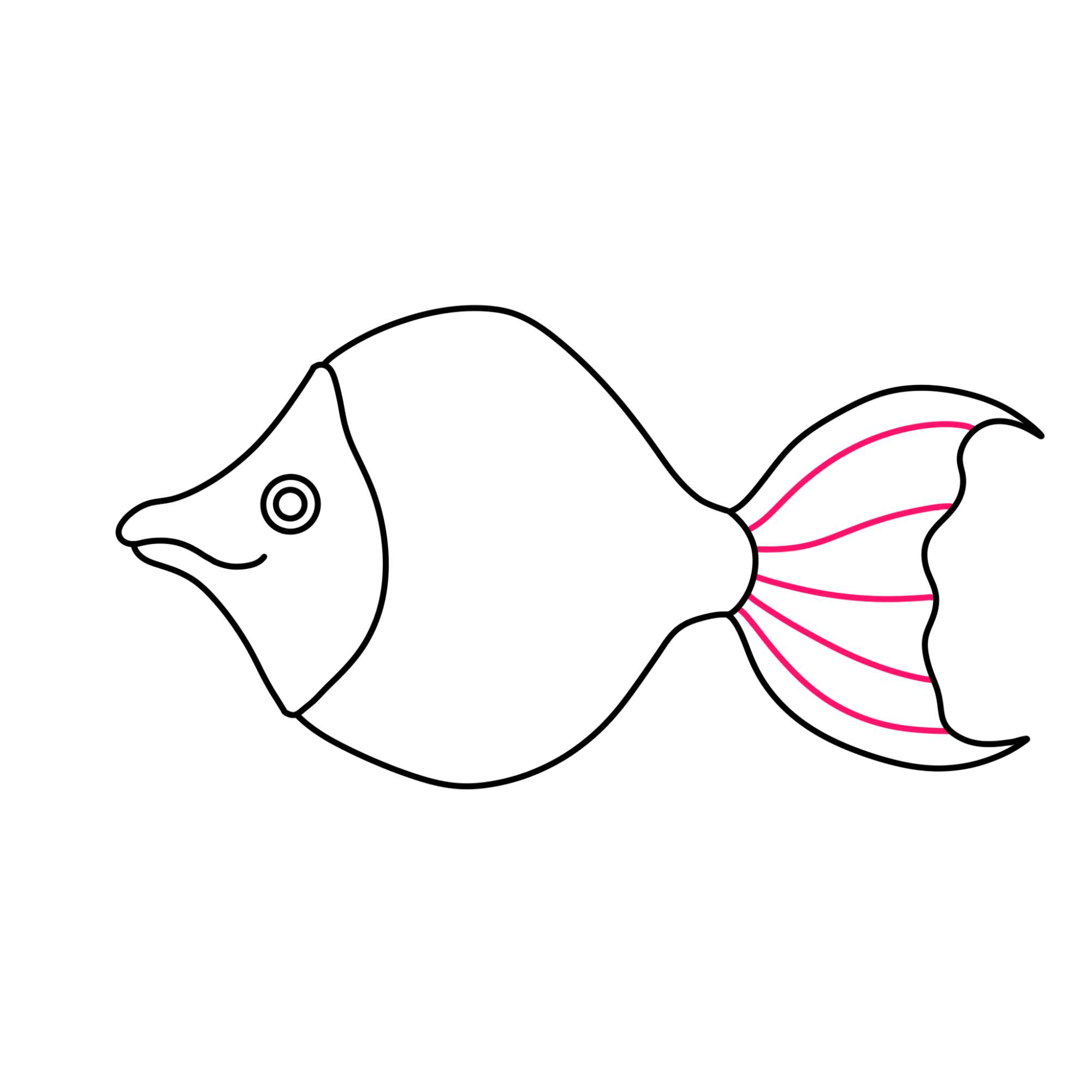 Angelfish Drawing (easy) - Step-5