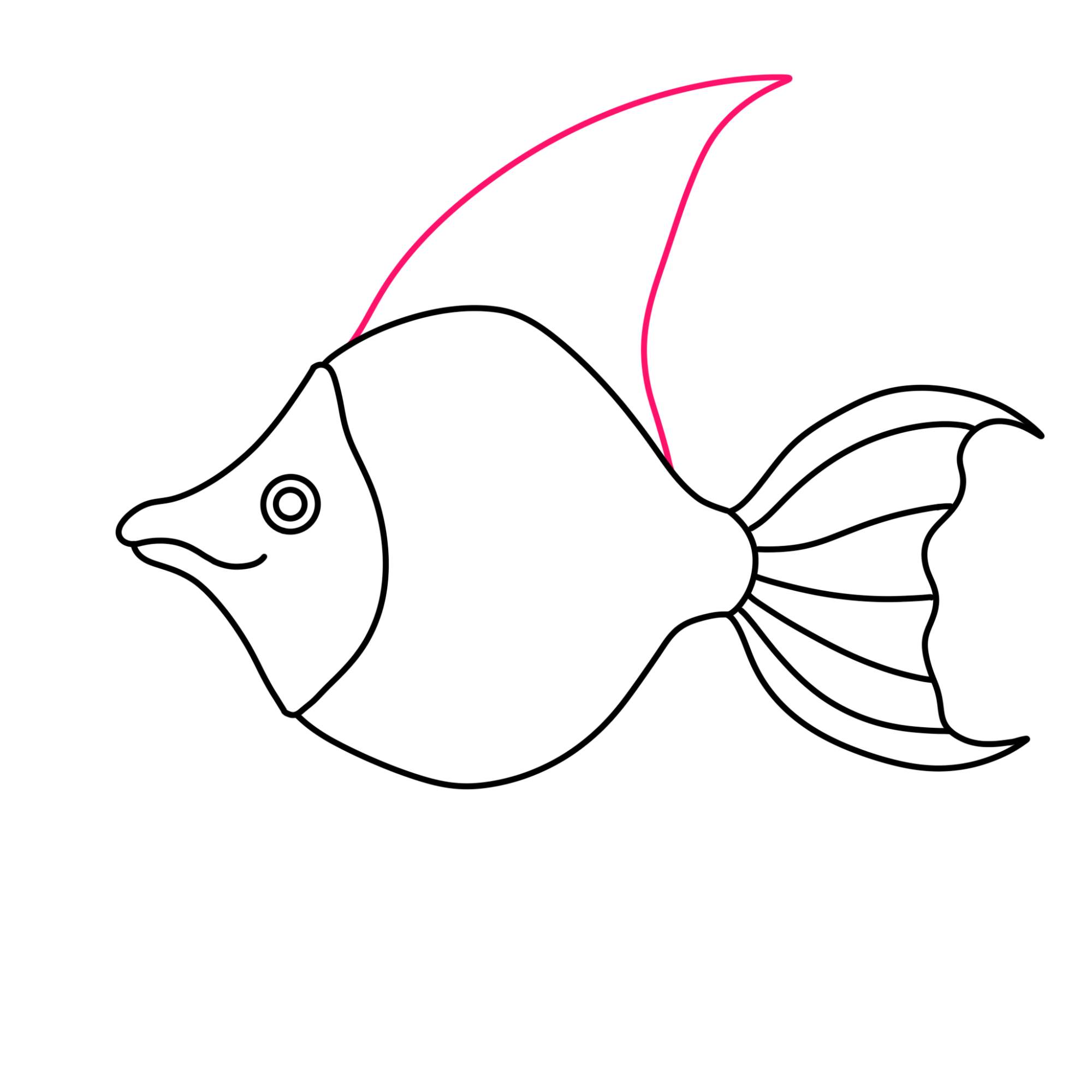 Angelfish Drawing (easy) - Step-6