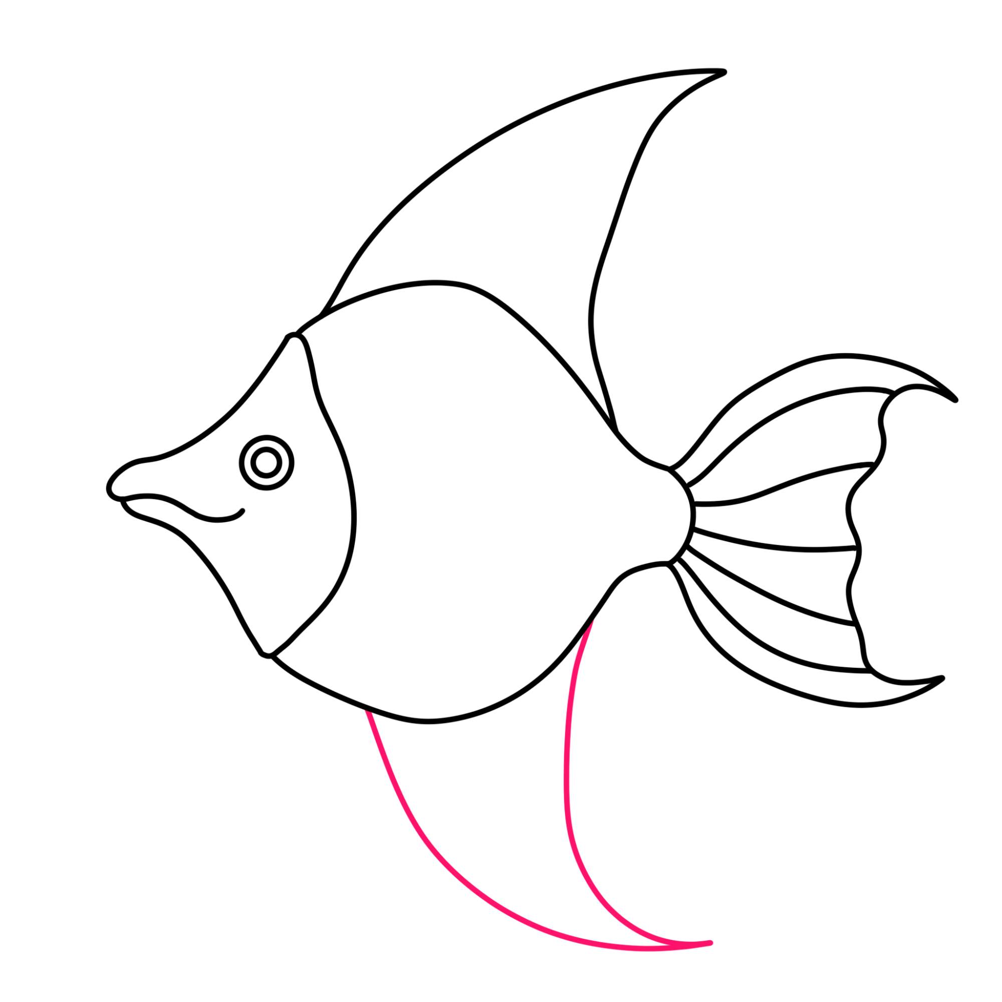 Angelfish Drawing (easy) - Step-7