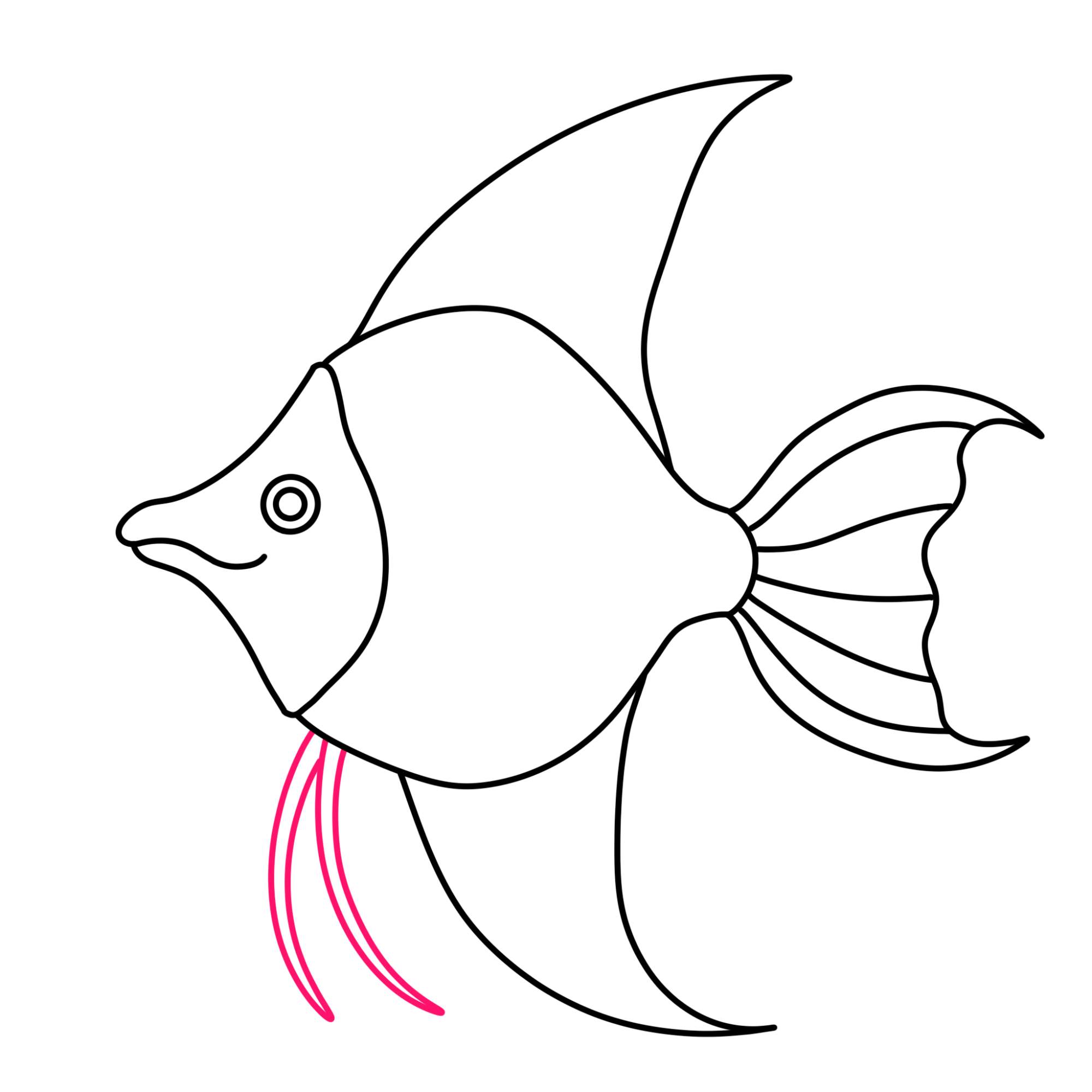 Angelfish Drawing (easy) - Step-8