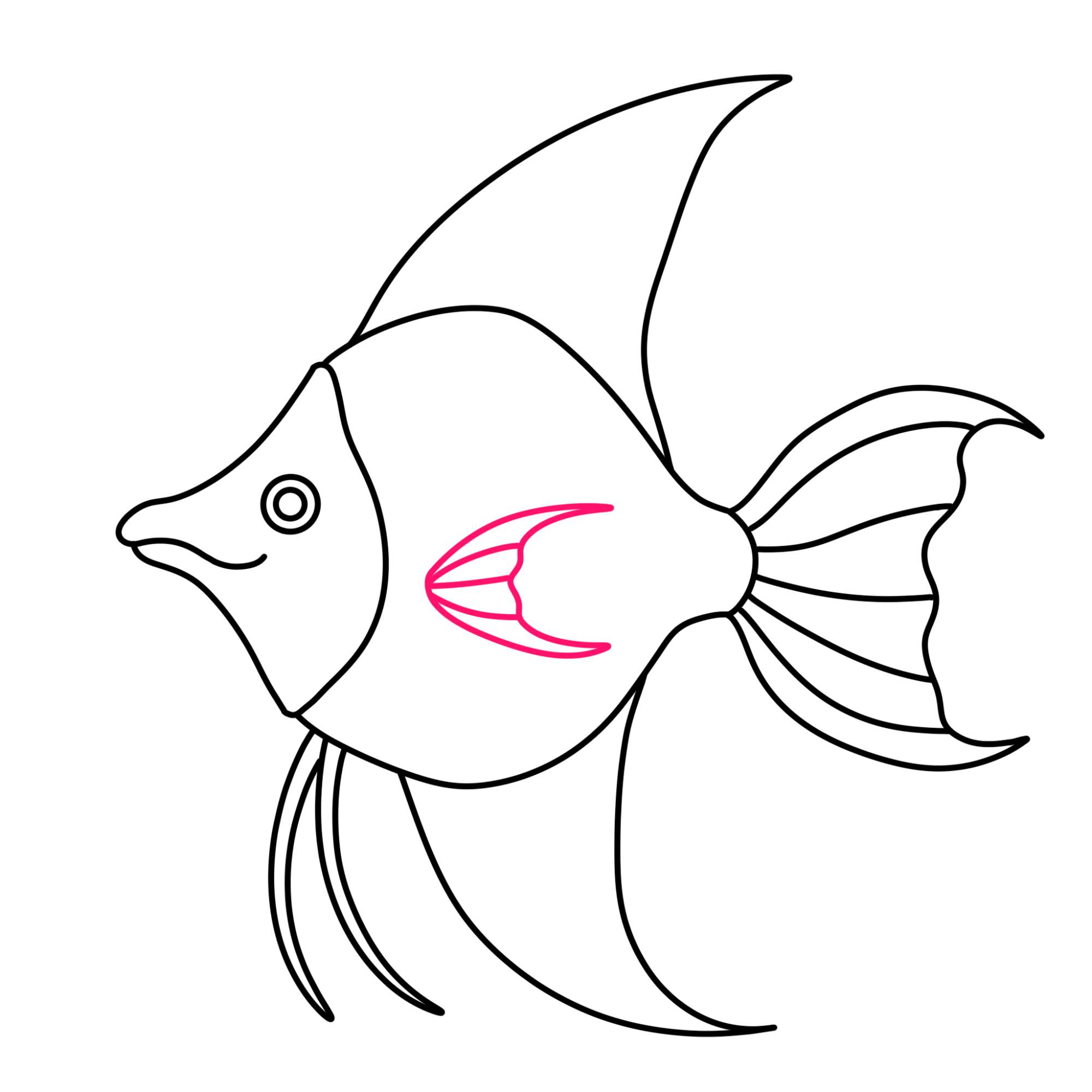 Angelfish Drawing (easy) - Step-9