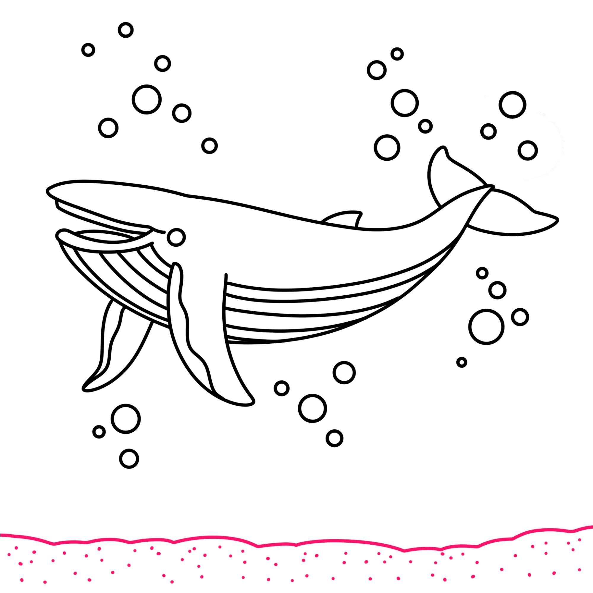 Blue Whale Drawing - Step-10