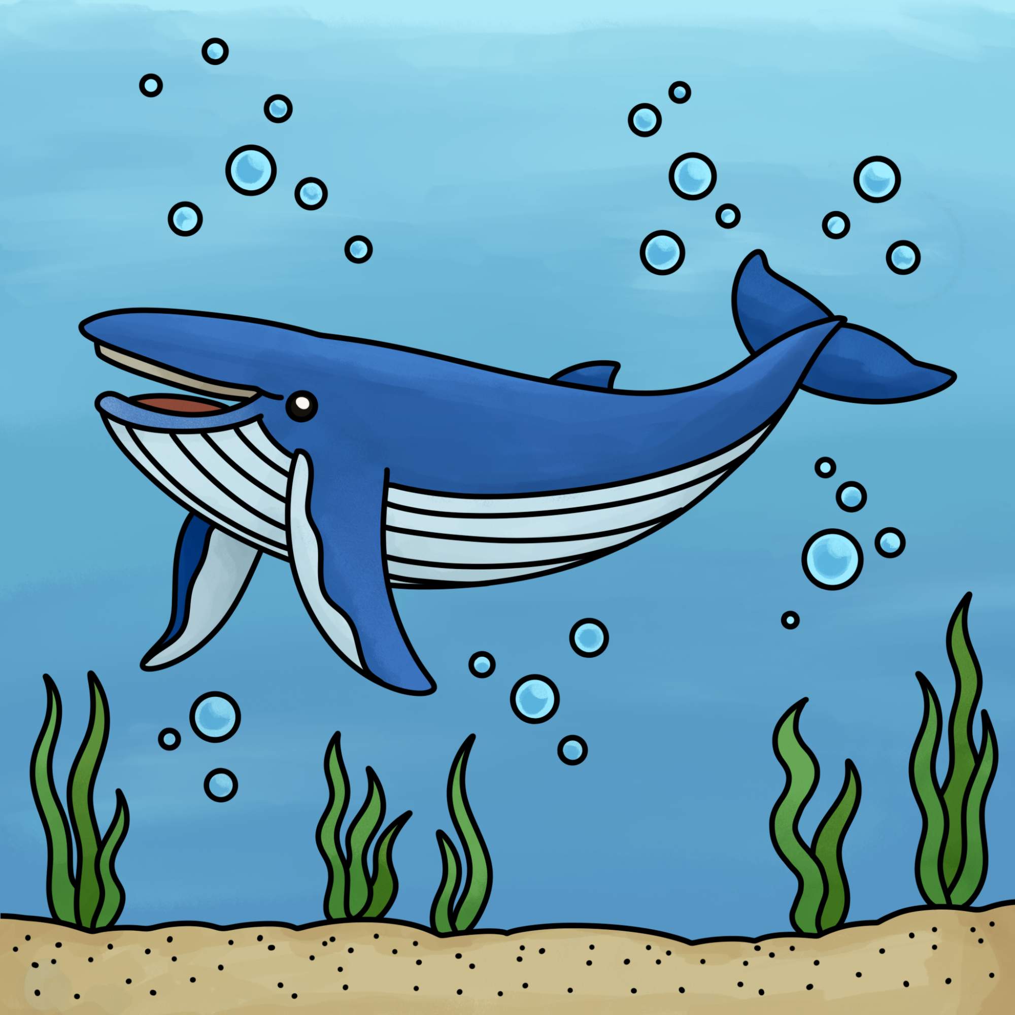 Blue Whale Drawing - Step-15