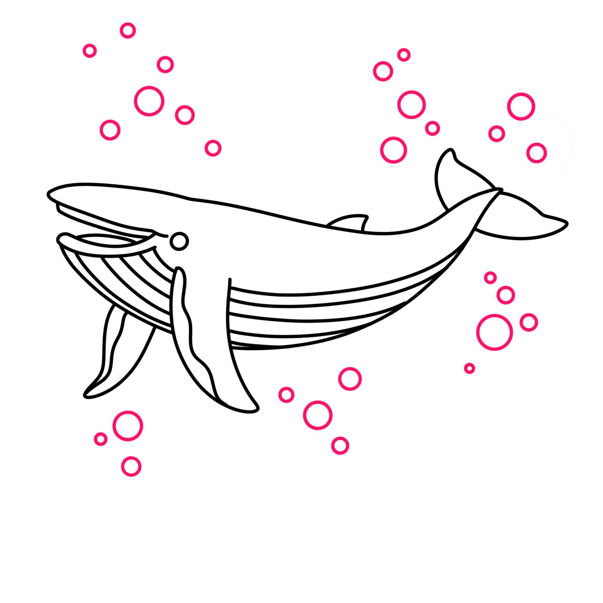 Blue Whale Drawing - Step-9