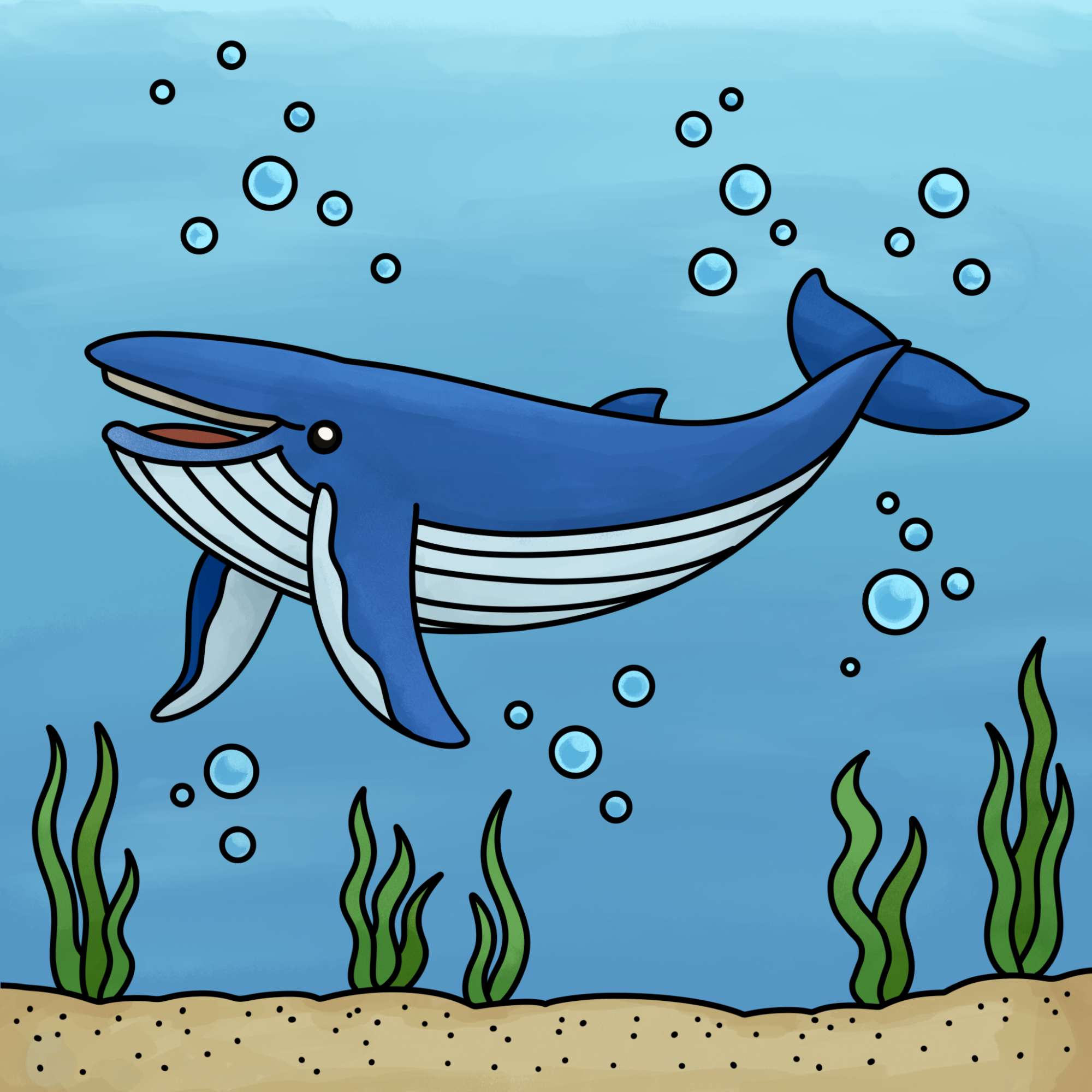 Blue Whale Drawing