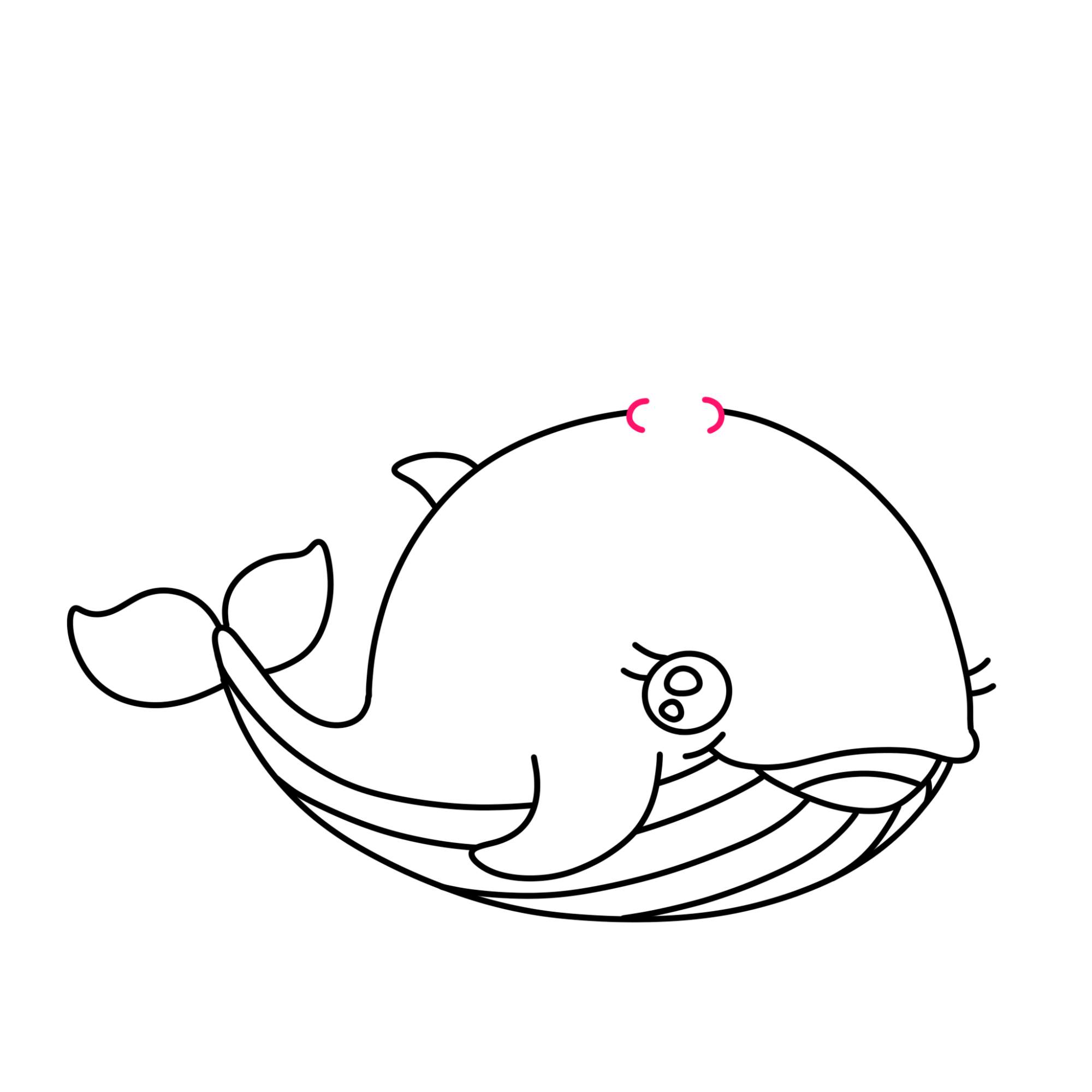 Cute Whale Drawing - Step-10