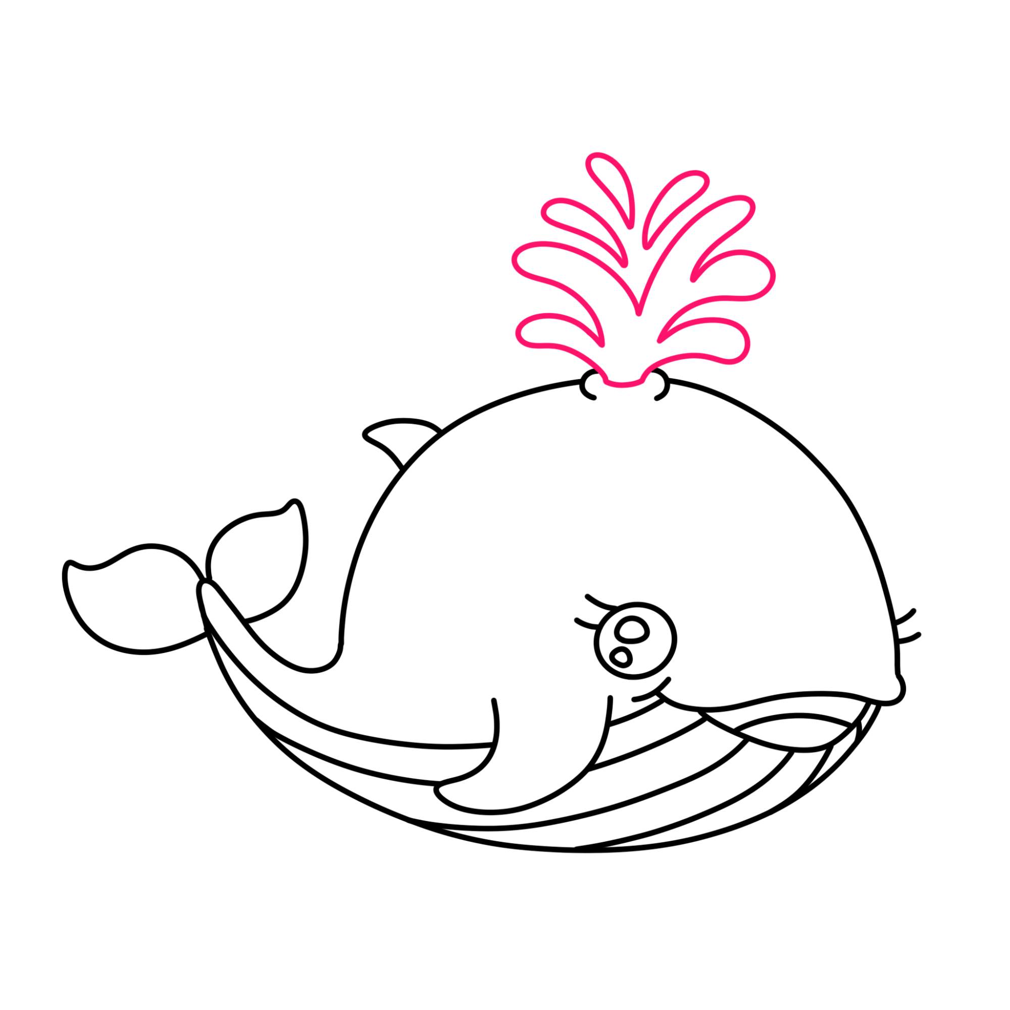 Cute Whale Drawing - Step-11