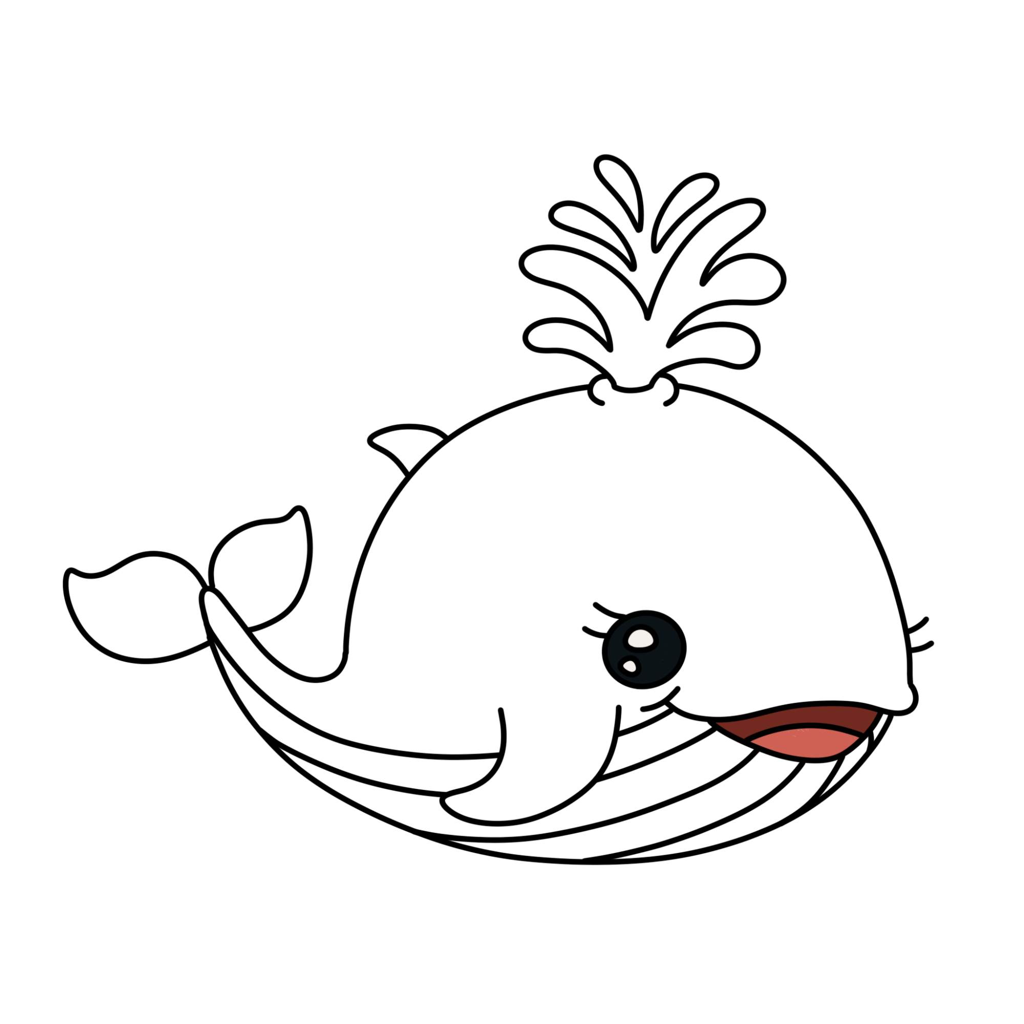 Cute Whale Drawing - Step-12