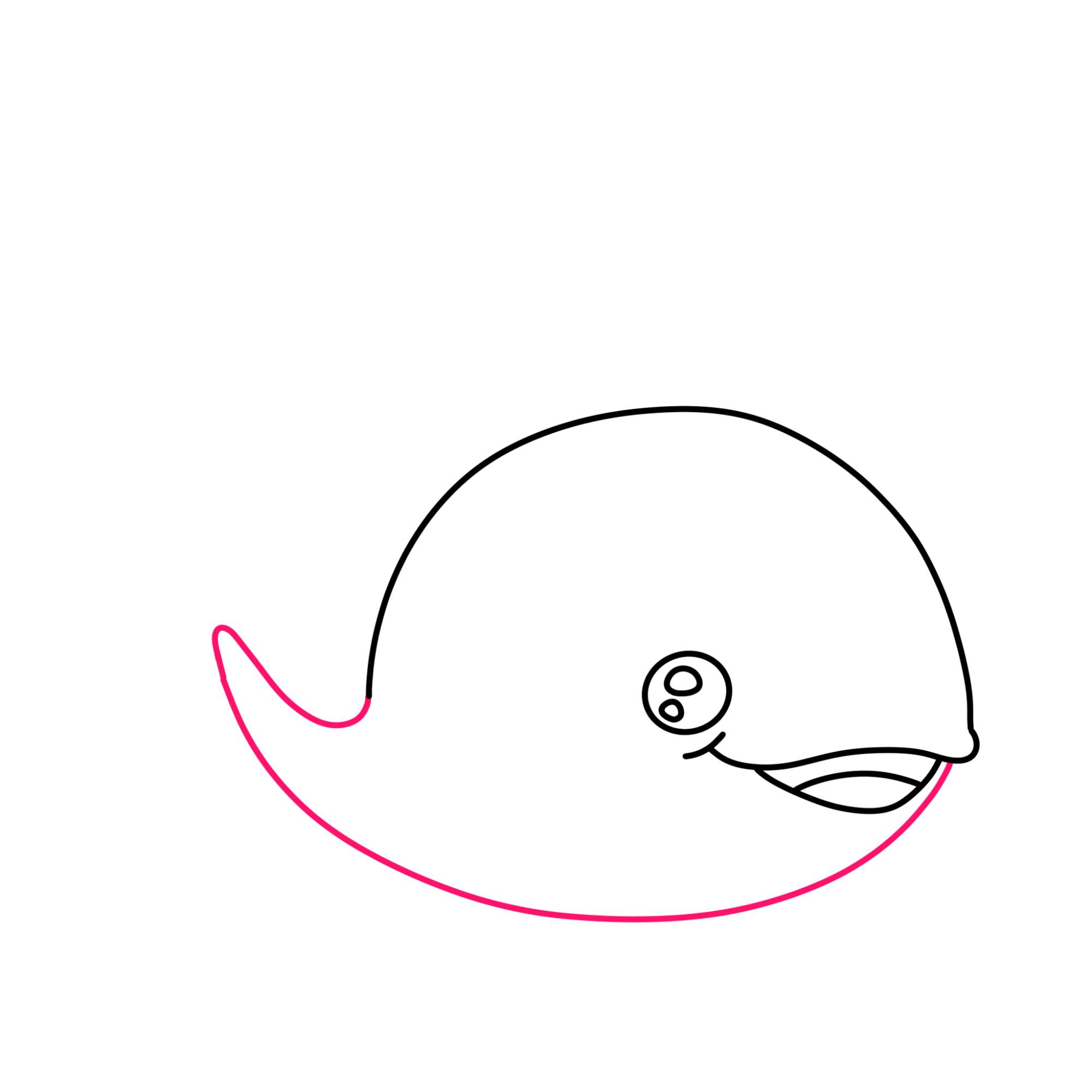 Cute Whale Drawing - Step-4