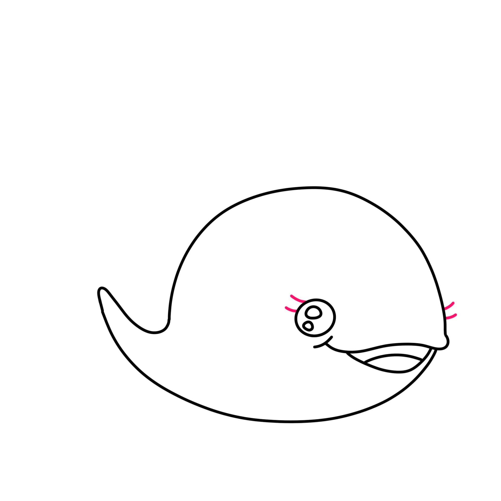 Cute Whale Drawing - Step-5