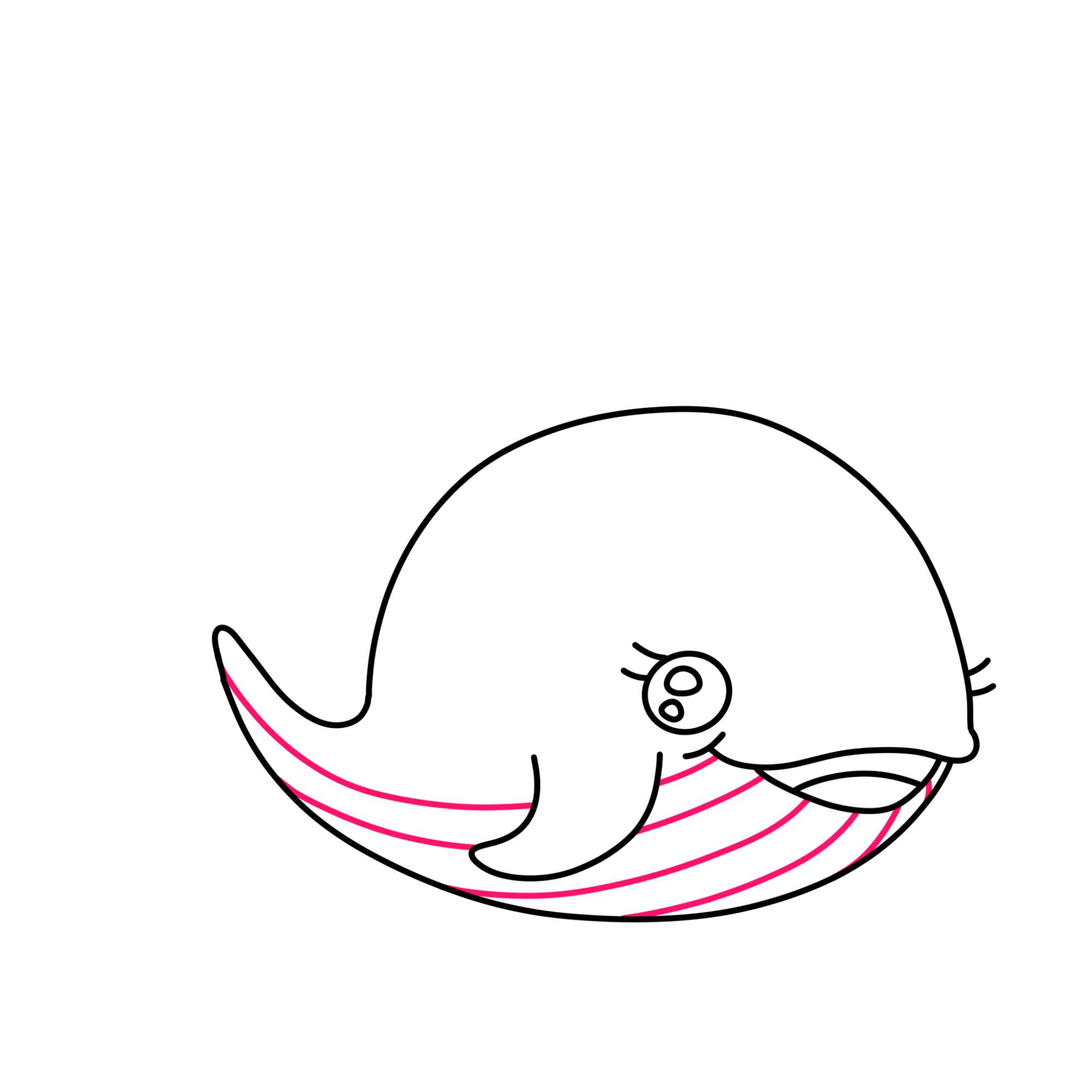 Cute Whale Drawing - Step-7