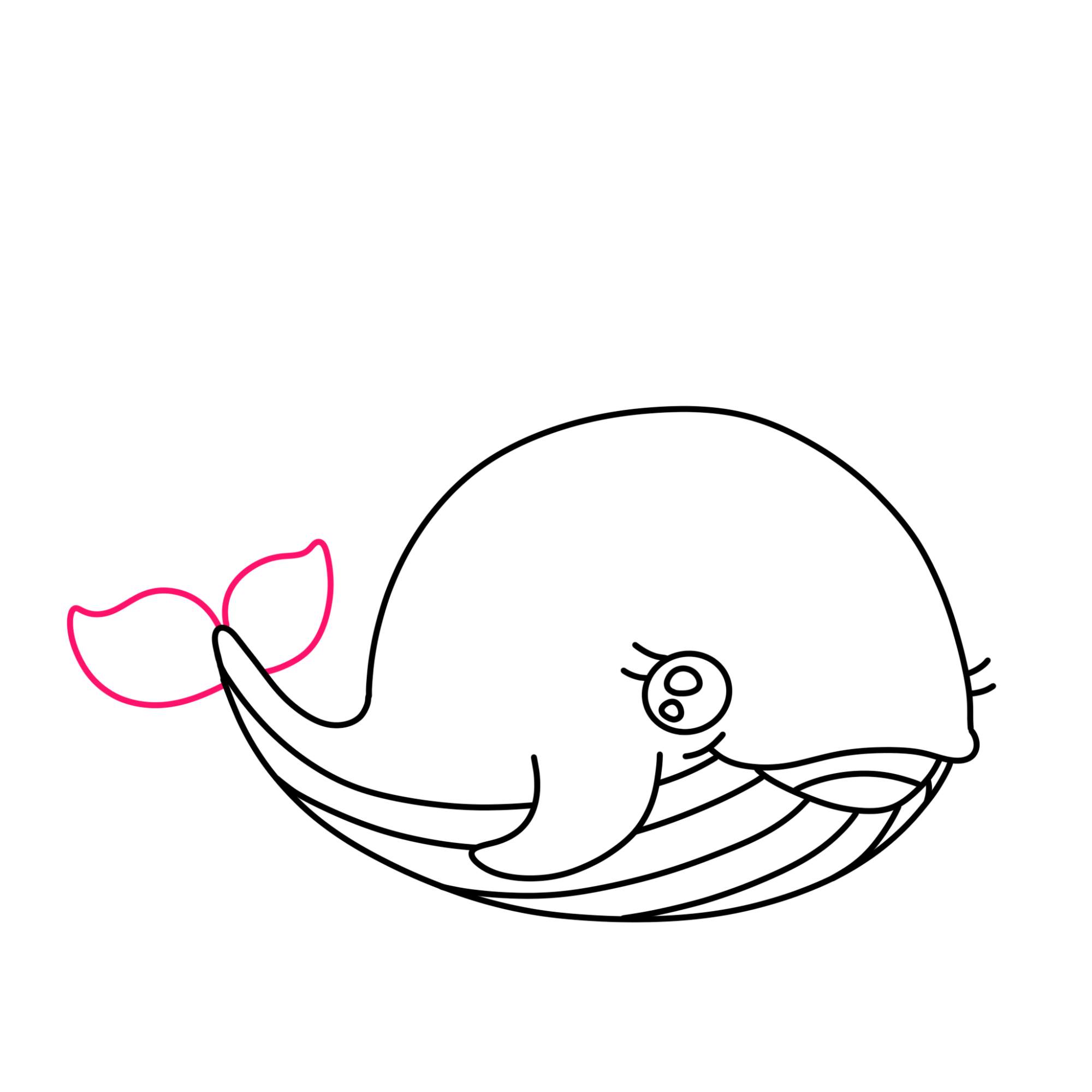 Cute Whale Drawing - Step-8