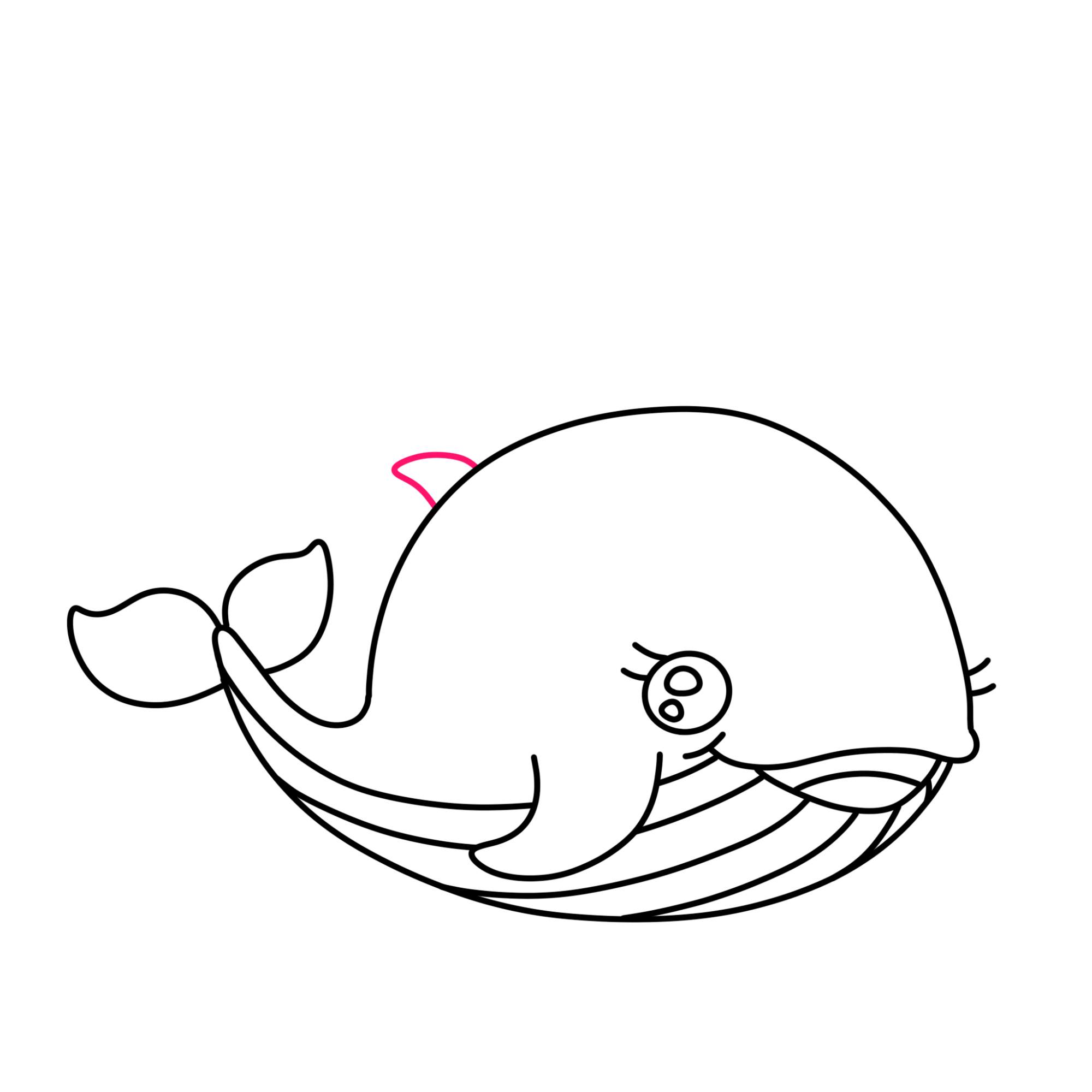 Cute Whale Drawing - Step-9