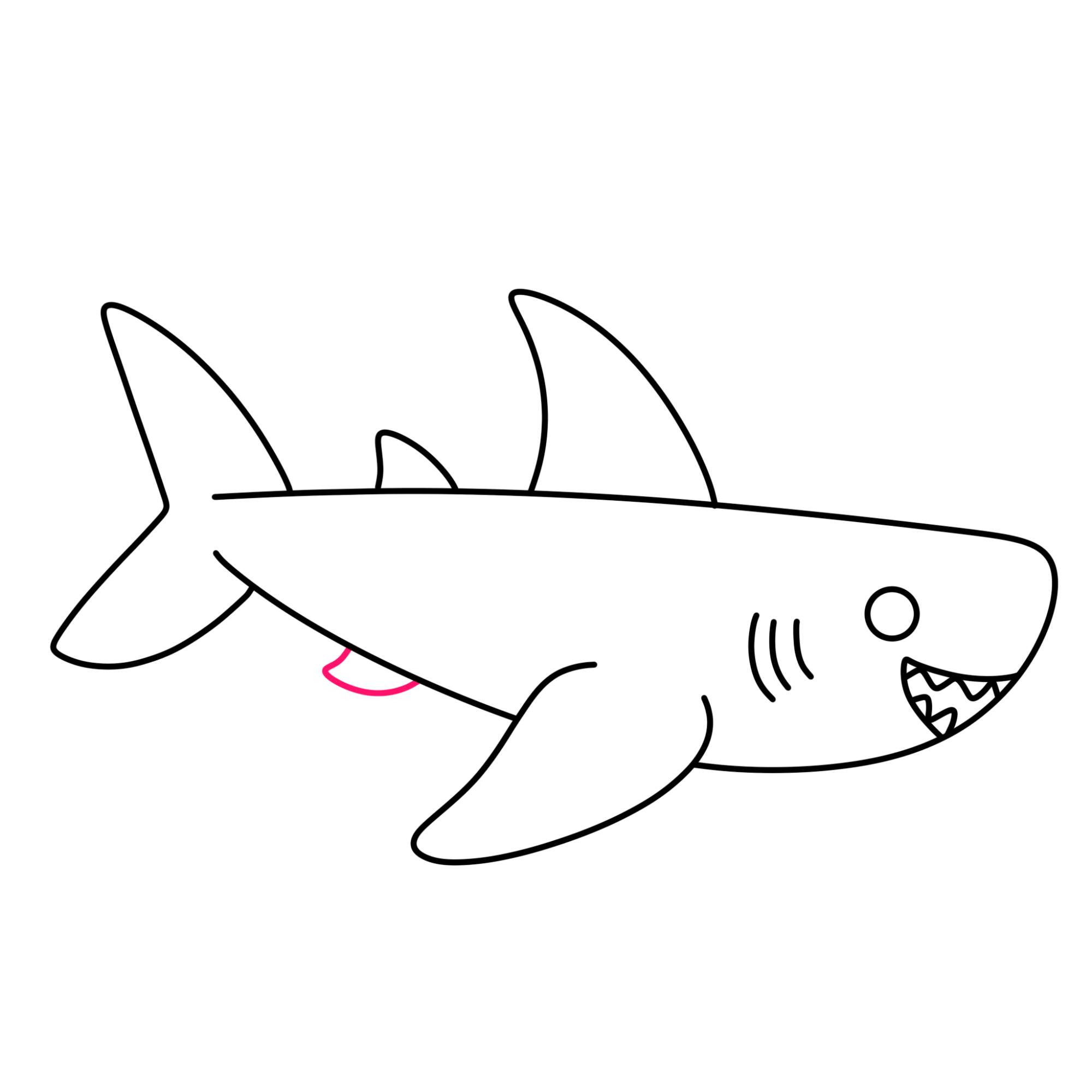 Easy Shark Drawing - Step-10