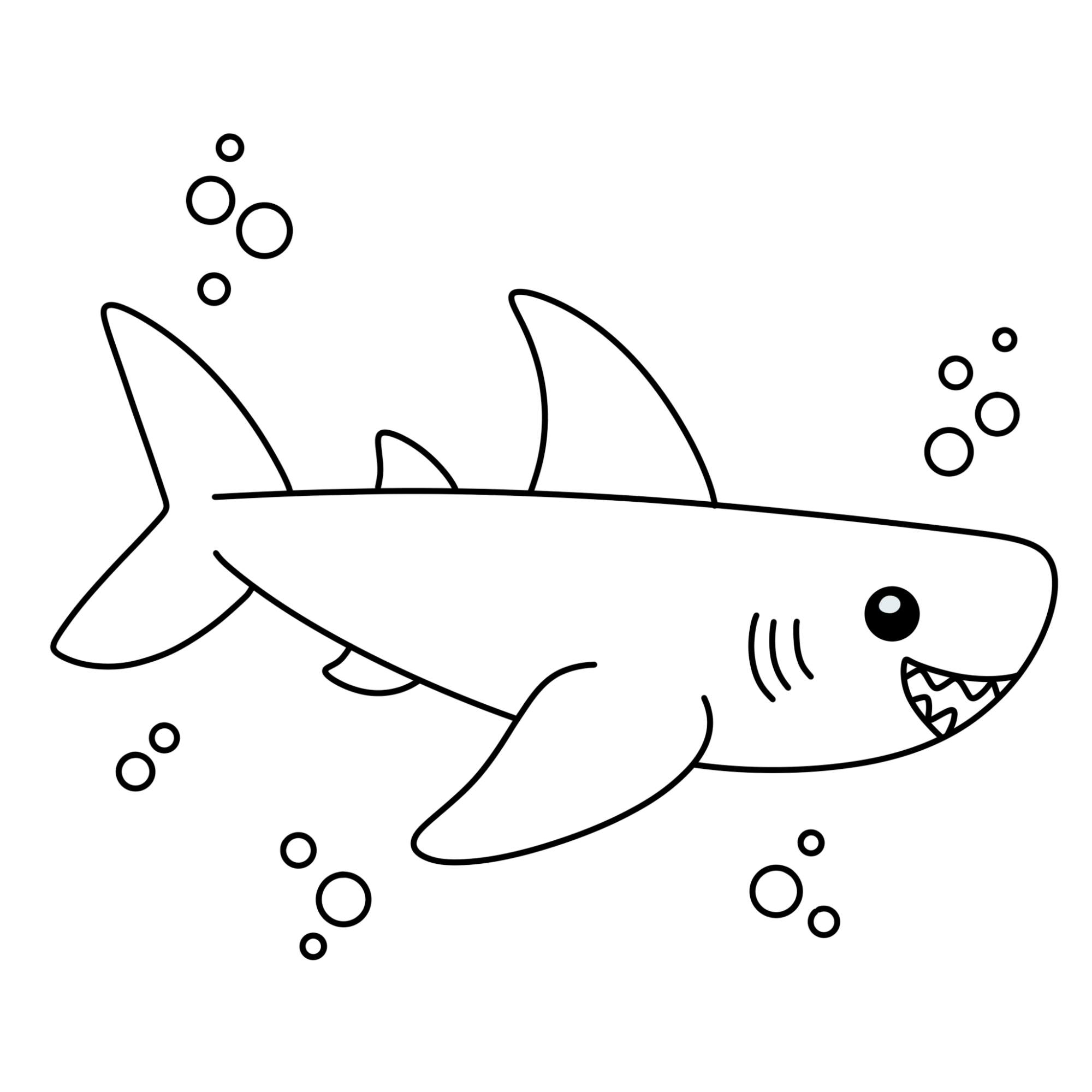 Easy Shark Drawing - Step-12