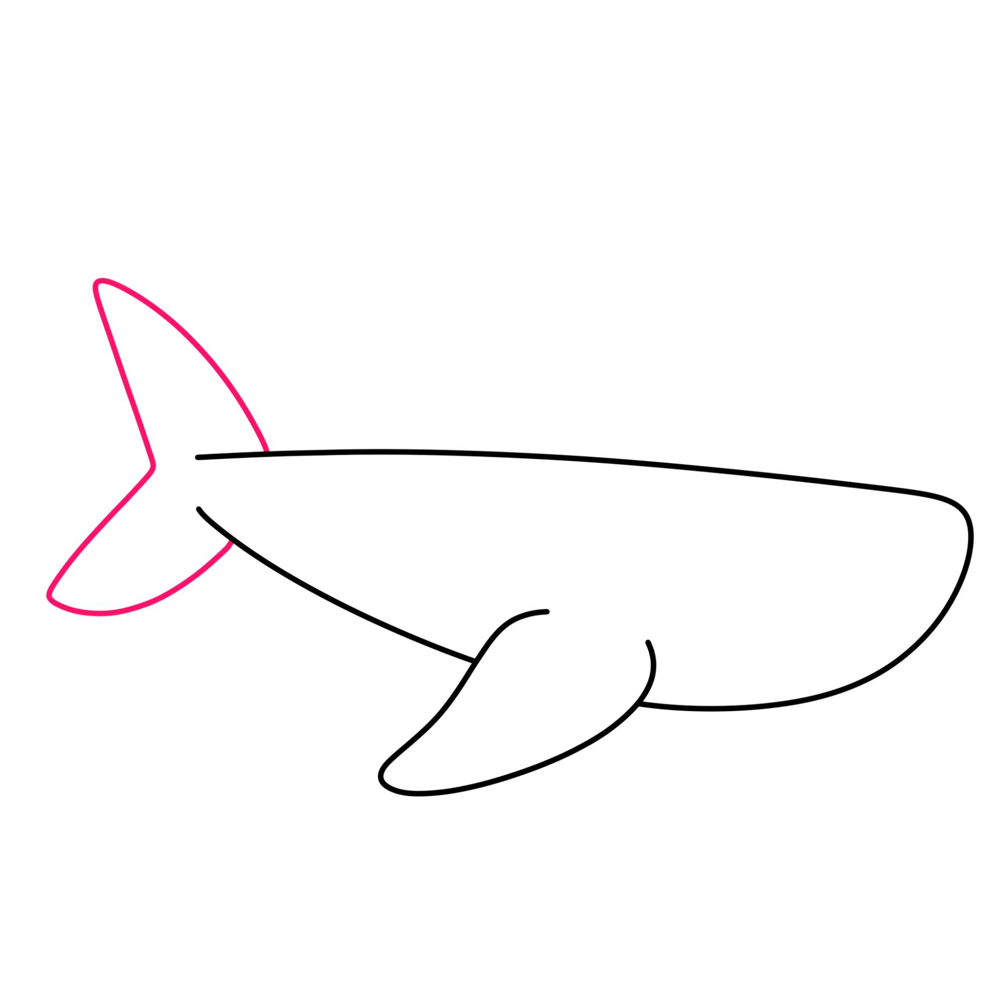 Easy Shark Drawing - Step-3