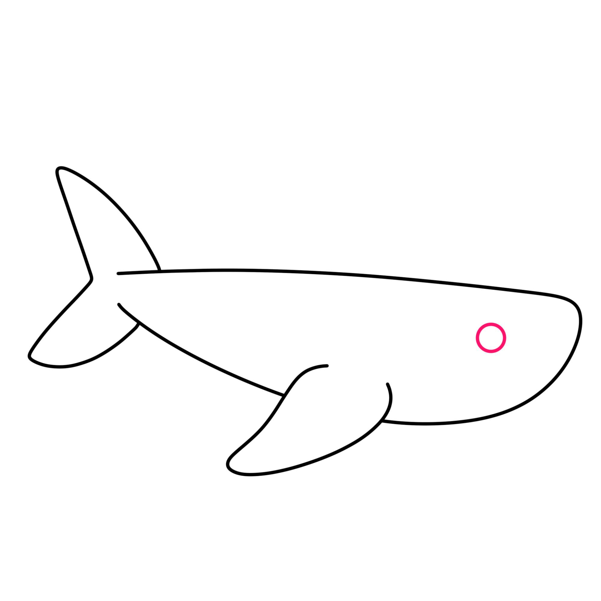 Easy Shark Drawing - Step-4