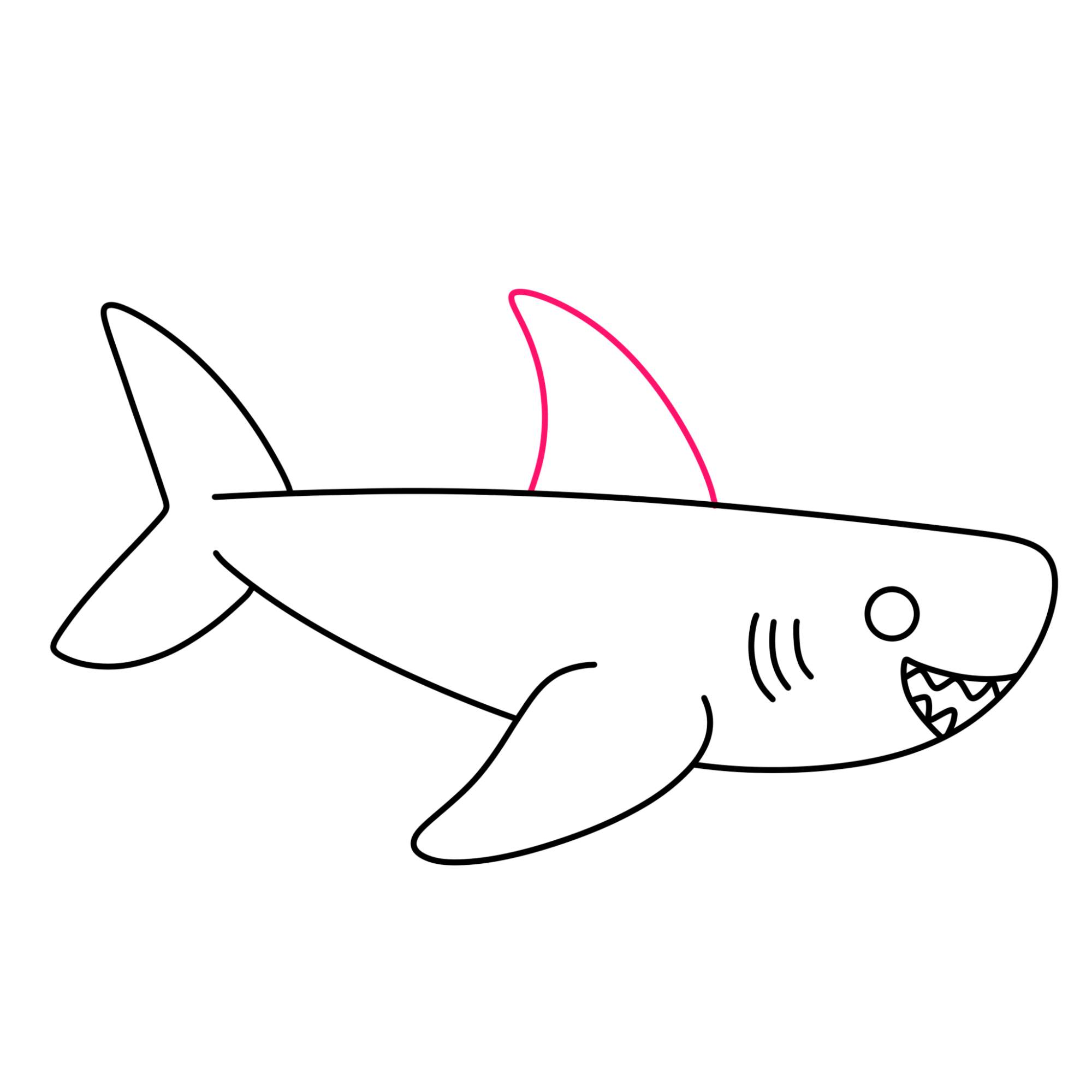 Easy Shark Drawing - Step-8