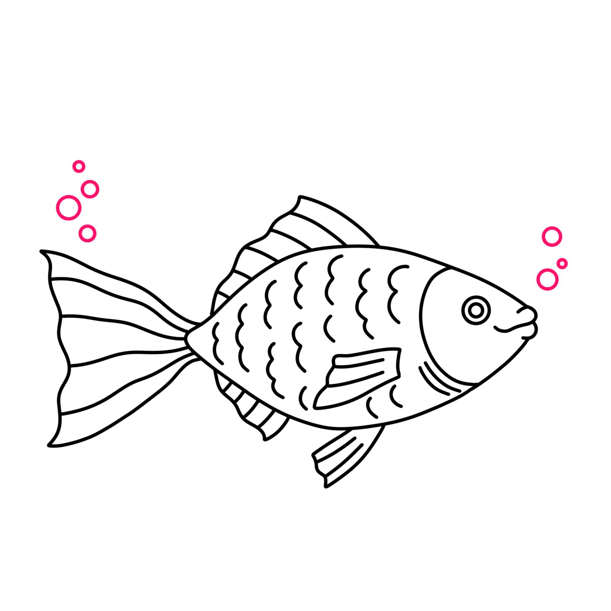 Fish Drawing (easy) - Step-11