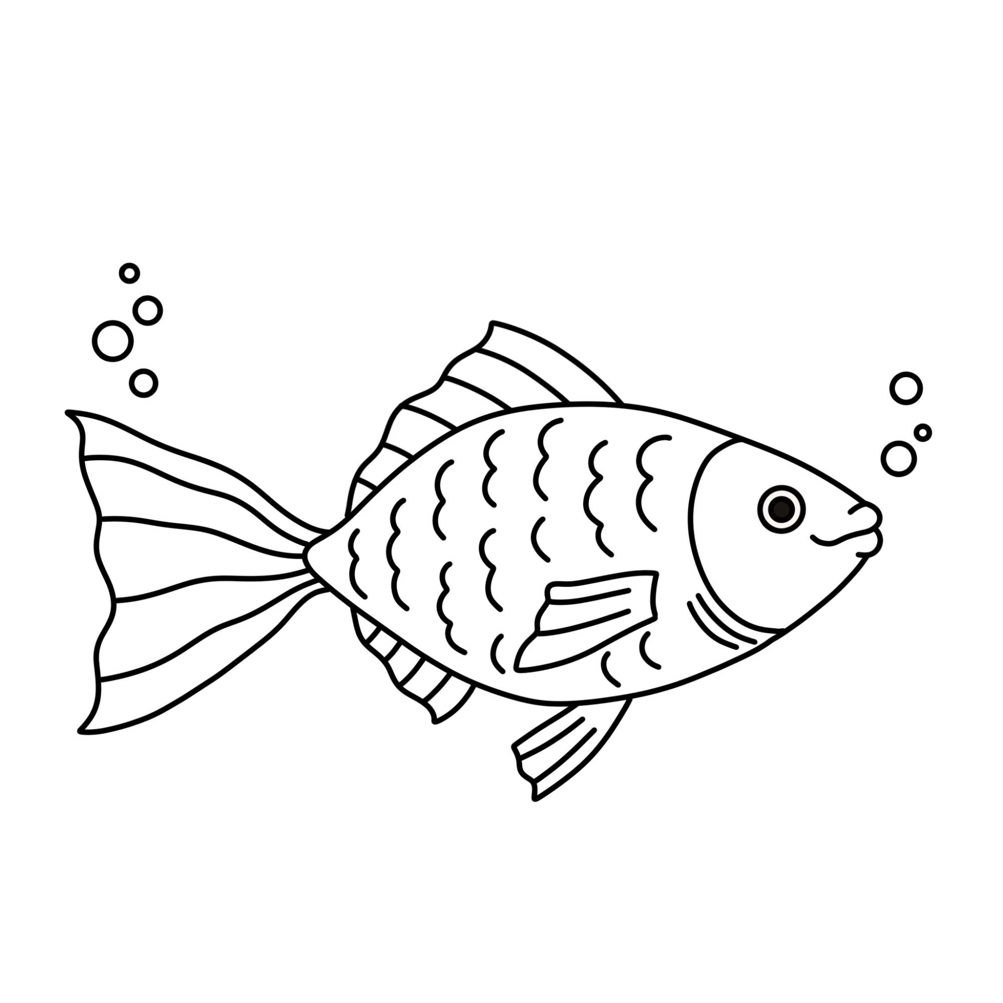 Fish Drawing (easy) - Step-12