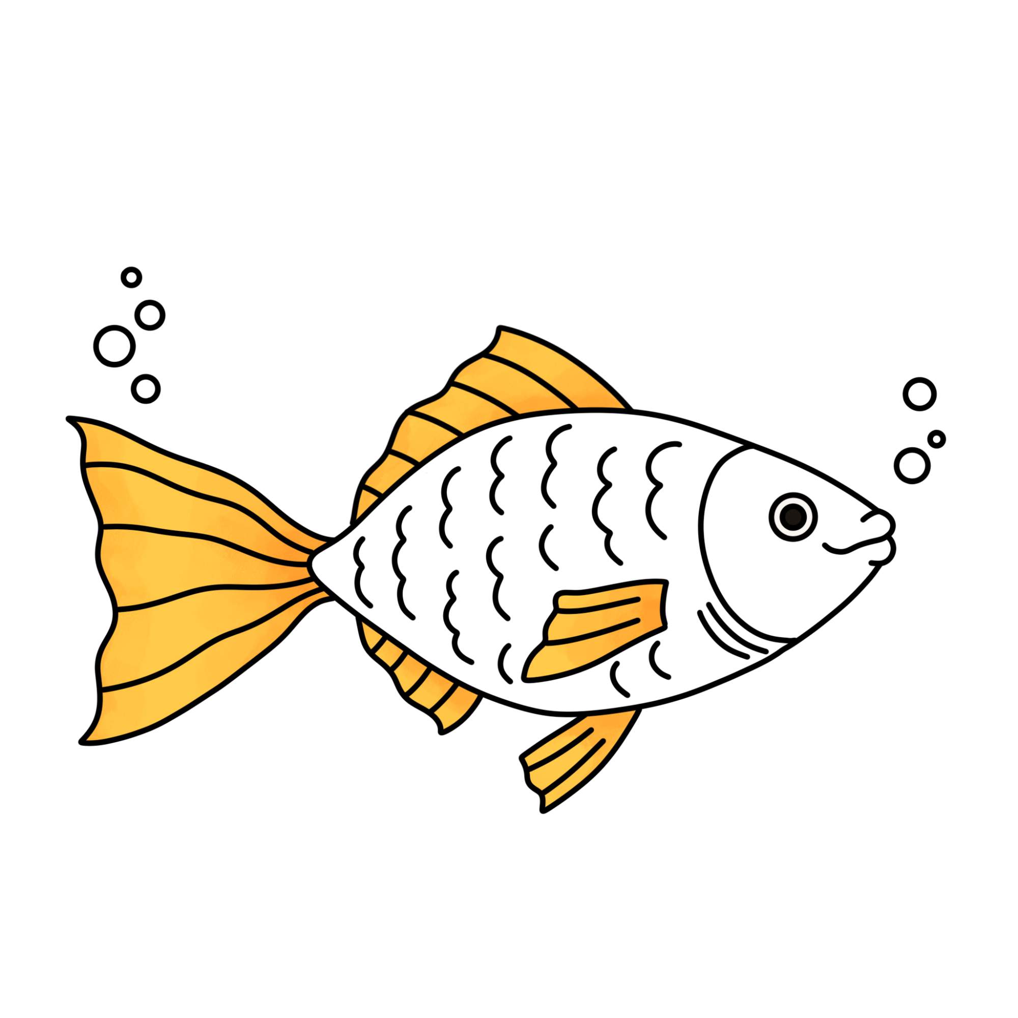 Fish Drawing (easy) - Step-13