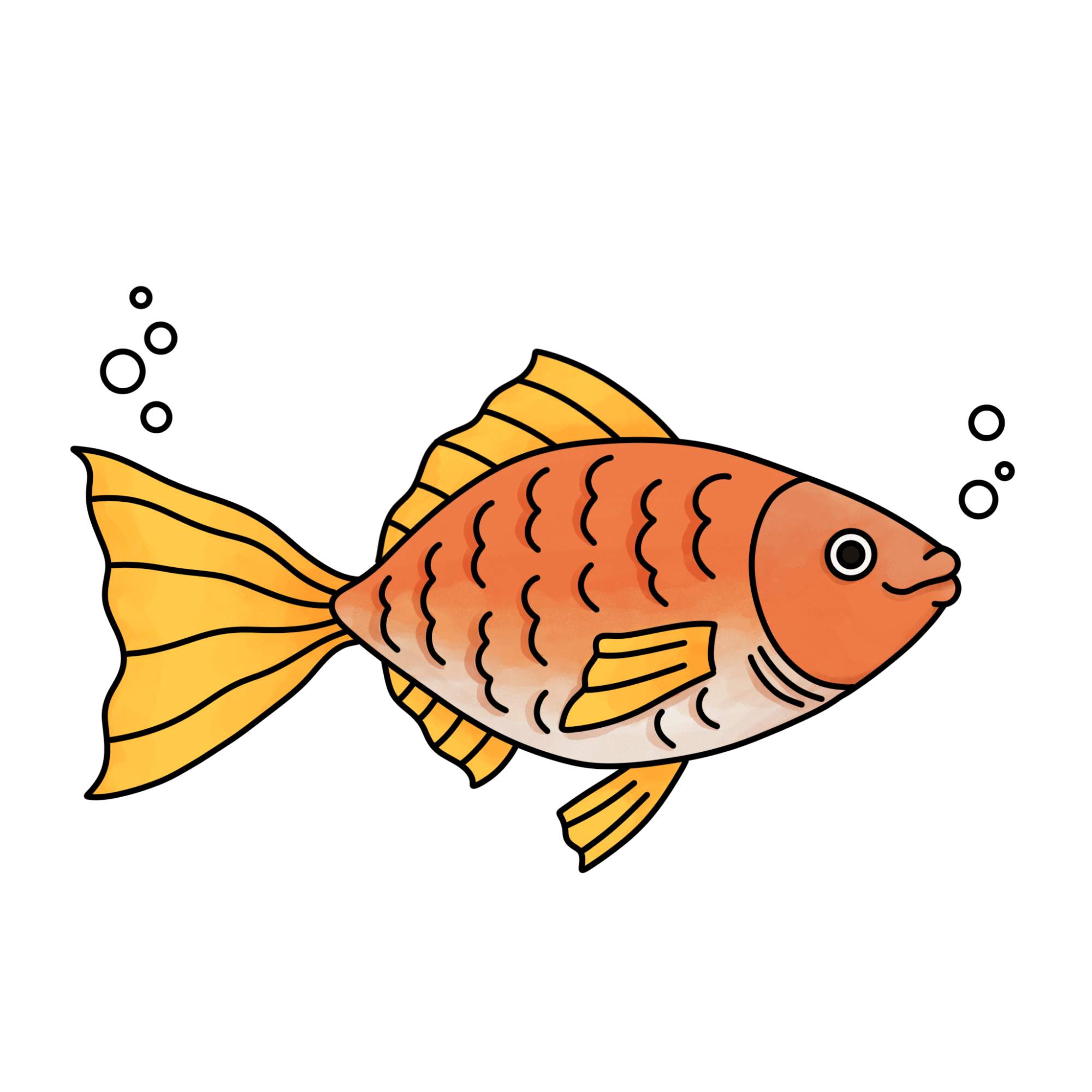 Fish Drawing (easy) - Step-14