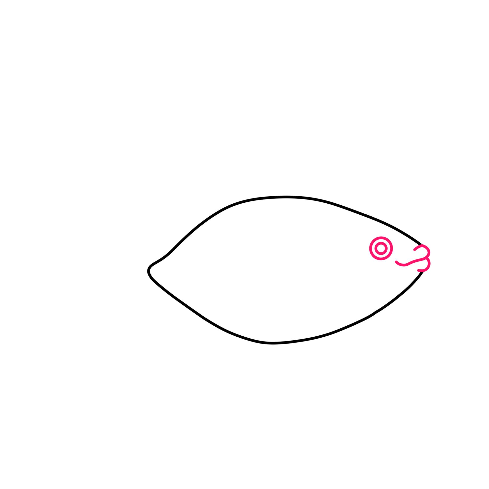 Fish Drawing (easy) - Step-2