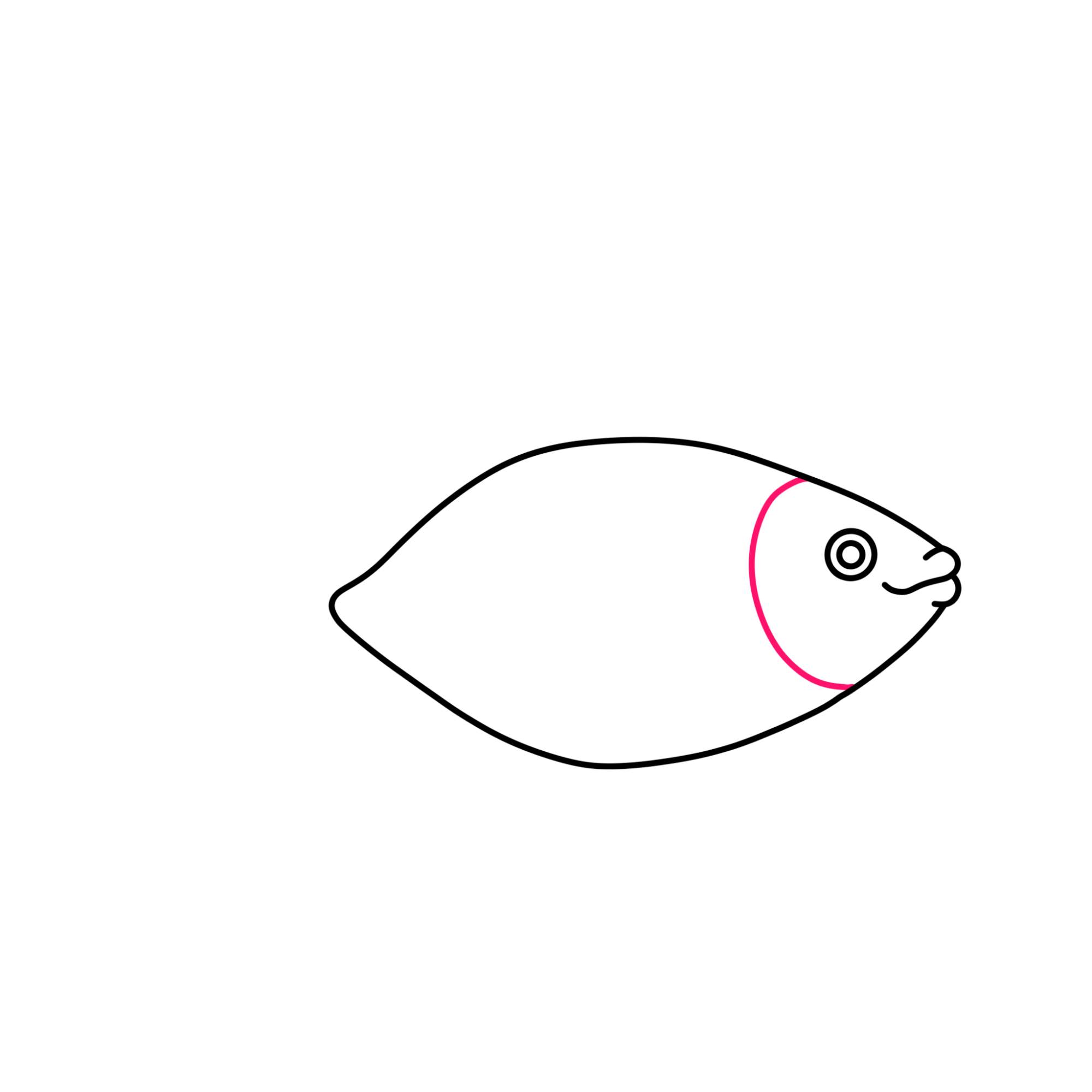 Fish Drawing (easy) - Step-3