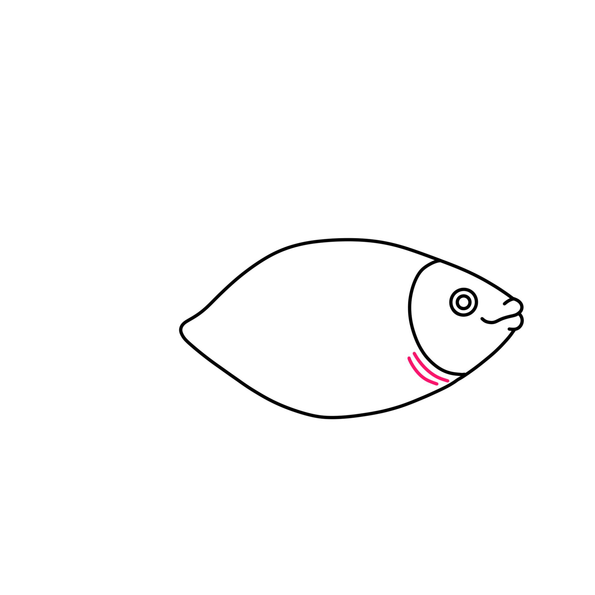 Fish Drawing (easy) - Step-4