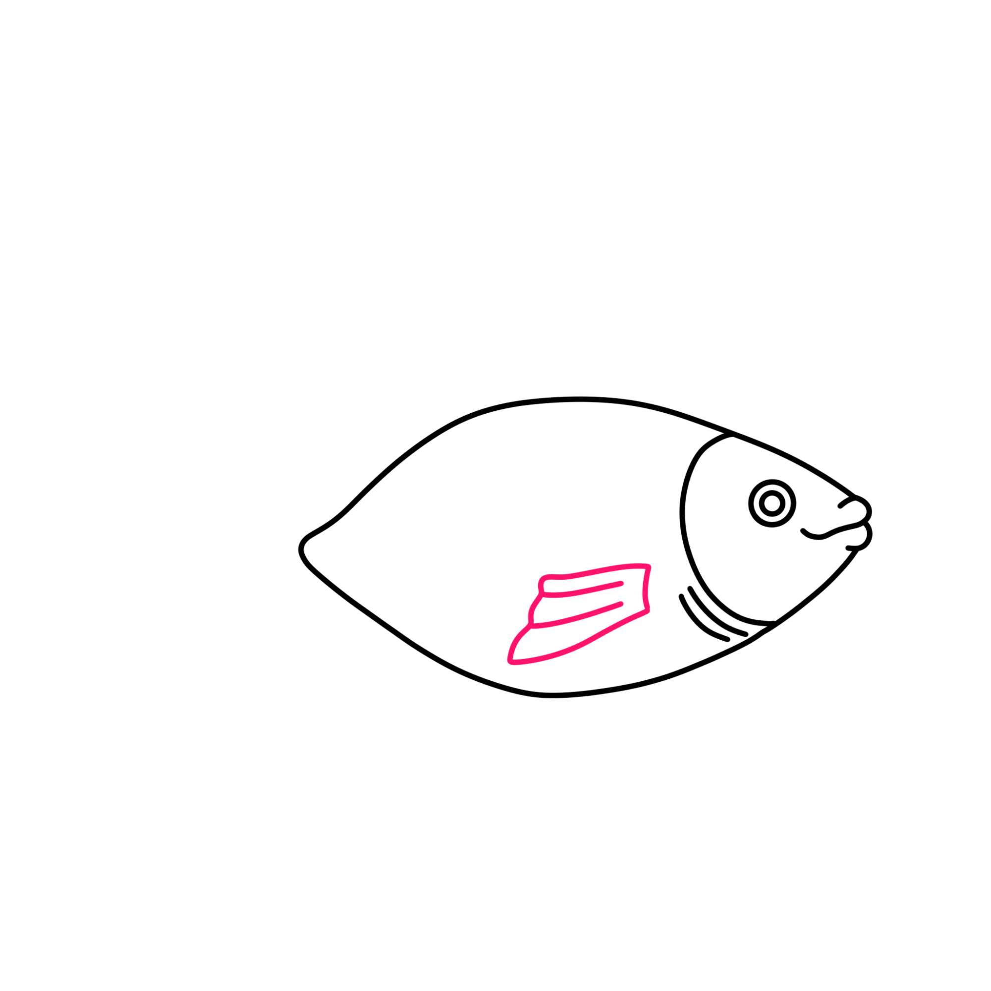 Fish Drawing (easy) - Step-5