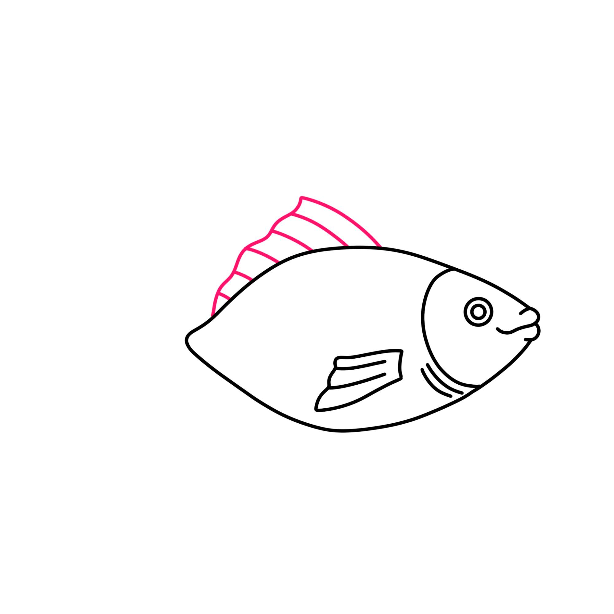 Fish Drawing (easy) - Step-6