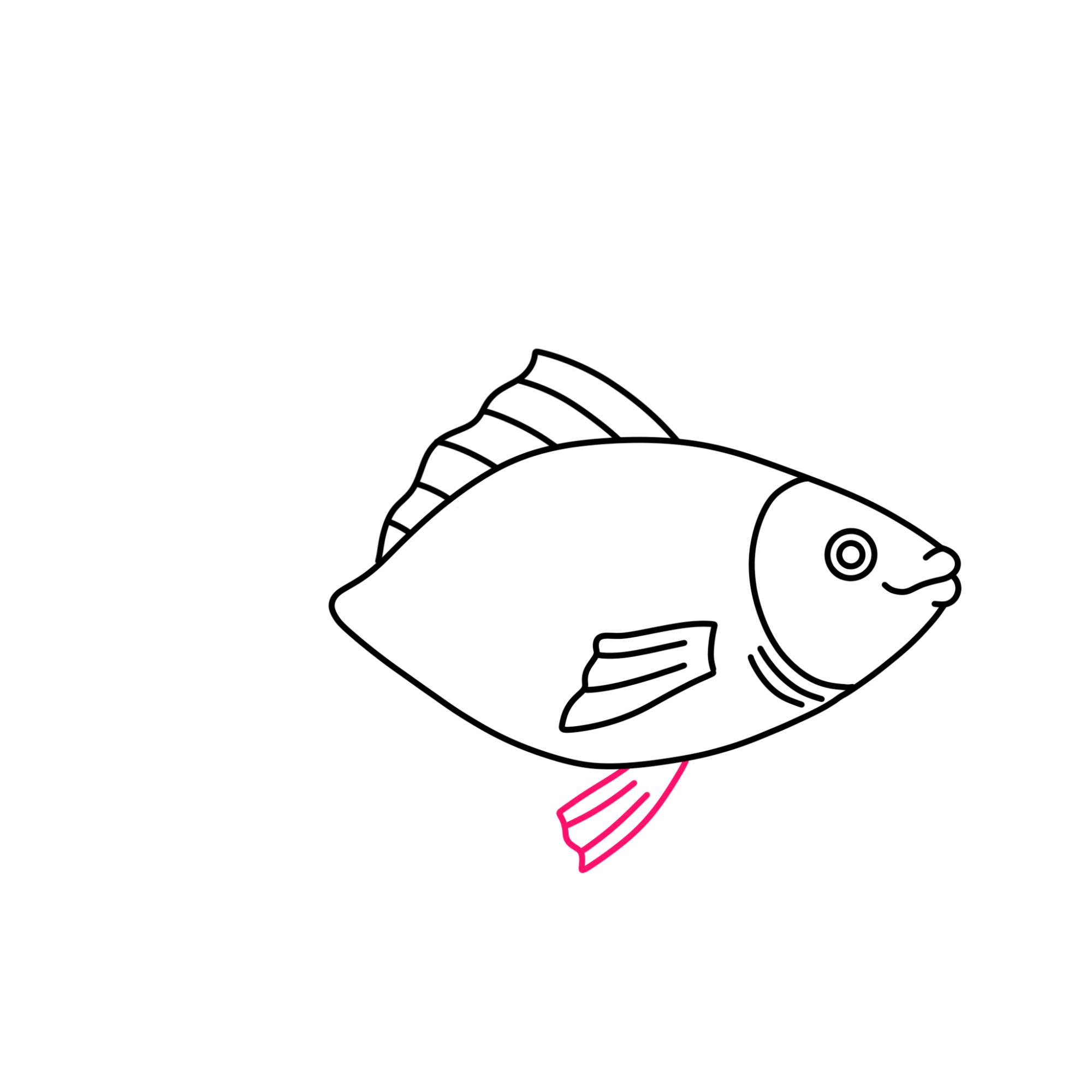 Fish Drawing (easy) - Step-7