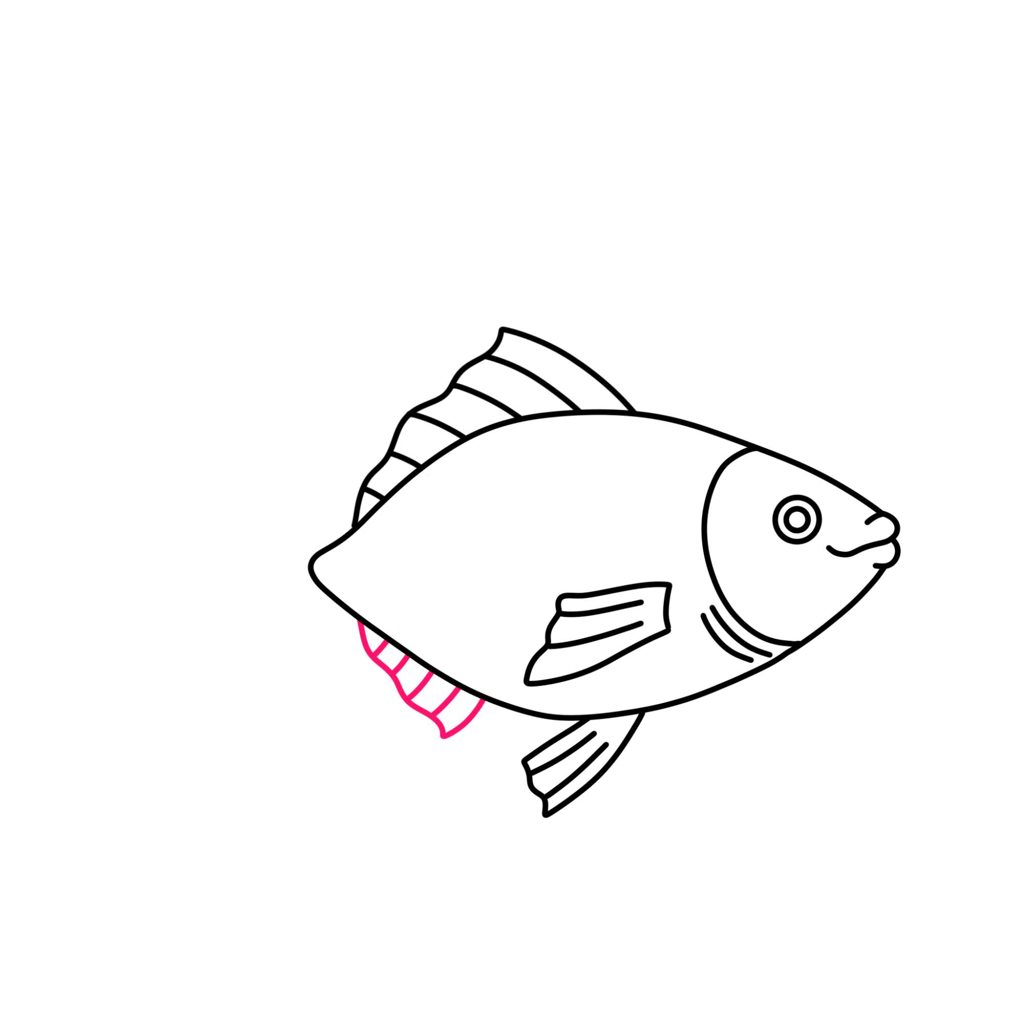 Fish Drawing (easy) - Step-8