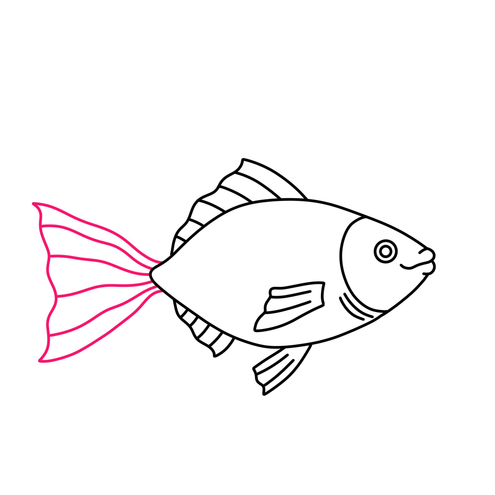 Fish Drawing (easy) - Step-9