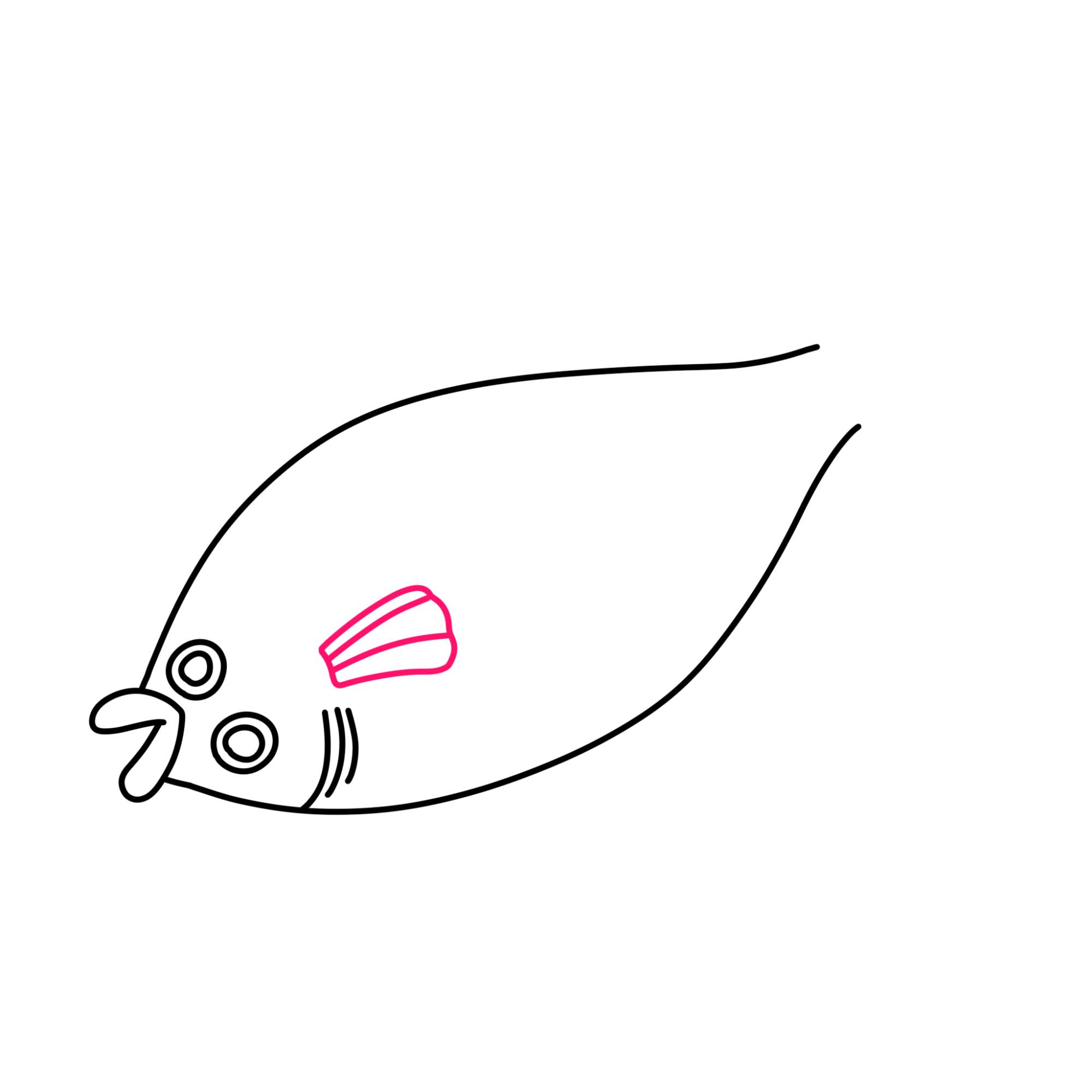 Flounder Drawing - Step-5