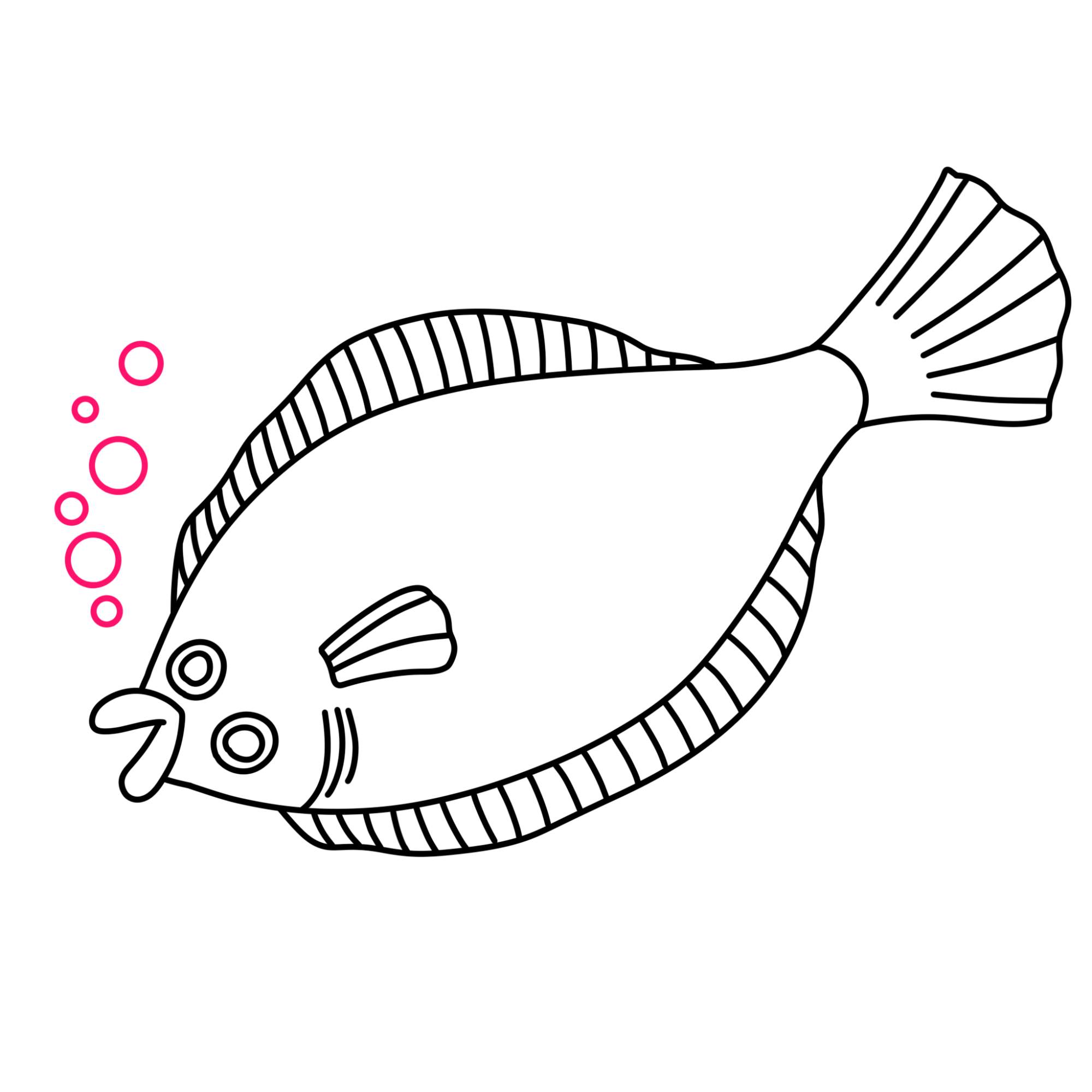 Flounder Drawing - Step-9